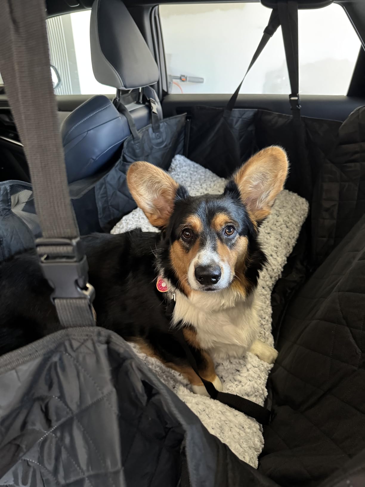 URPOWER Hard Bottom Dog Car Seat Cover for Pets 100% Waterproof Seat Cover Hammock 600D Heavy Duty Scratch Proof customer photo 1