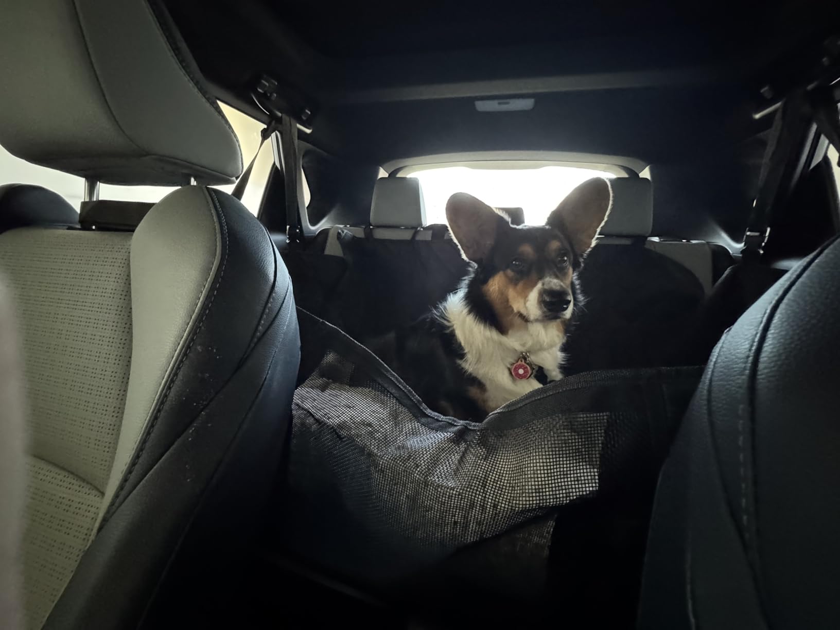 URPOWER Hard Bottom Dog Car Seat Cover for Pets 100% Waterproof Seat Cover Hammock 600D Heavy Duty Scratch Proof customer photo 2