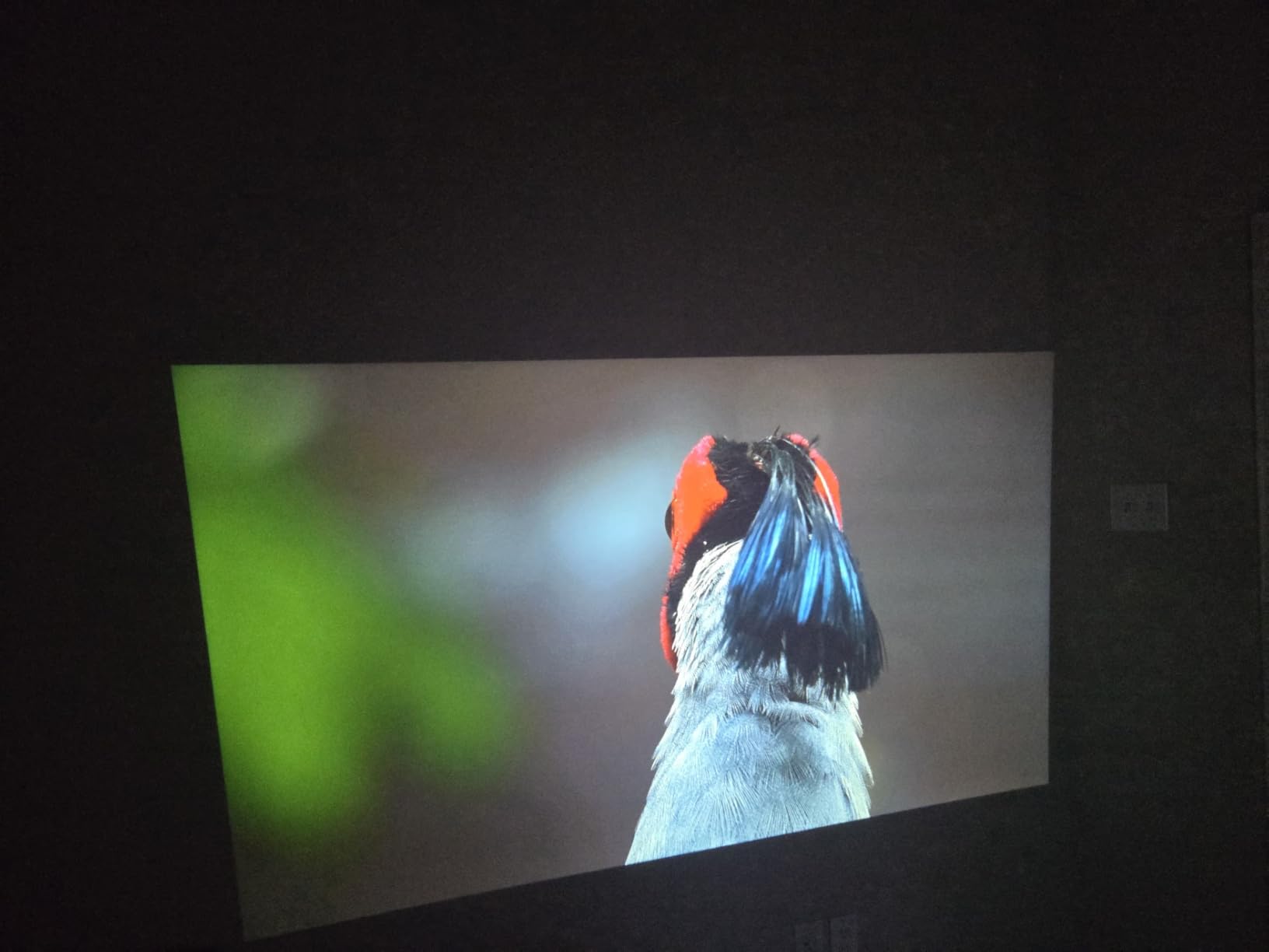 VISSPL 2200ANSI Smart 4K Projector with WiFi and Bluetooth, Officially-Licensed APP, 3D Dolby Audio, Auto Focus, 360° Adjustable Stand customer photo 1