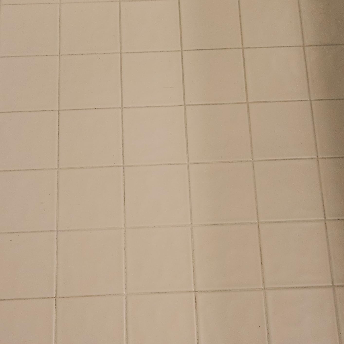 Steam Cleaner, Portable Steamer for Cleaning with 16pcs Accessories, 6-Level Adjustable, 15s Heat-Up, Handheld Steam Cleaner for Home for Tile, Grease, Dirt, Grout, Car Detailing, Green customer photo 1