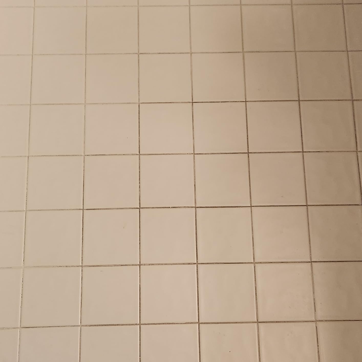 Steam Cleaner, Portable Steamer for Cleaning with 16pcs Accessories, 6-Level Adjustable, 15s Heat-Up, Handheld Steam Cleaner for Home for Tile, Grease, Dirt, Grout, Car Detailing, Green customer photo 2