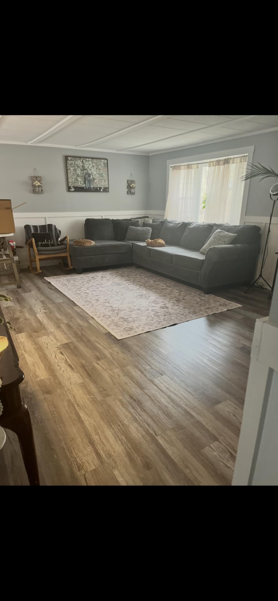 5x7 Area Rugs Living Room Rug: Washable Vintage Boho Rug No Slip Stain Resistant Soft Carpet Indoor Floor Floral - Beige customer photo 1