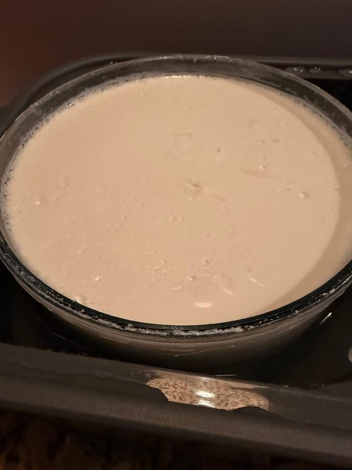 Ultimate Probiotic Yogurt Maker with Adjustable Time & Temperature Control, Make Trillions of Probiotics for Better Gut Health, Two 1-Quart Containers for Larger Batches, ULTIMATE LIFETIME WARRANTY customer photo 2