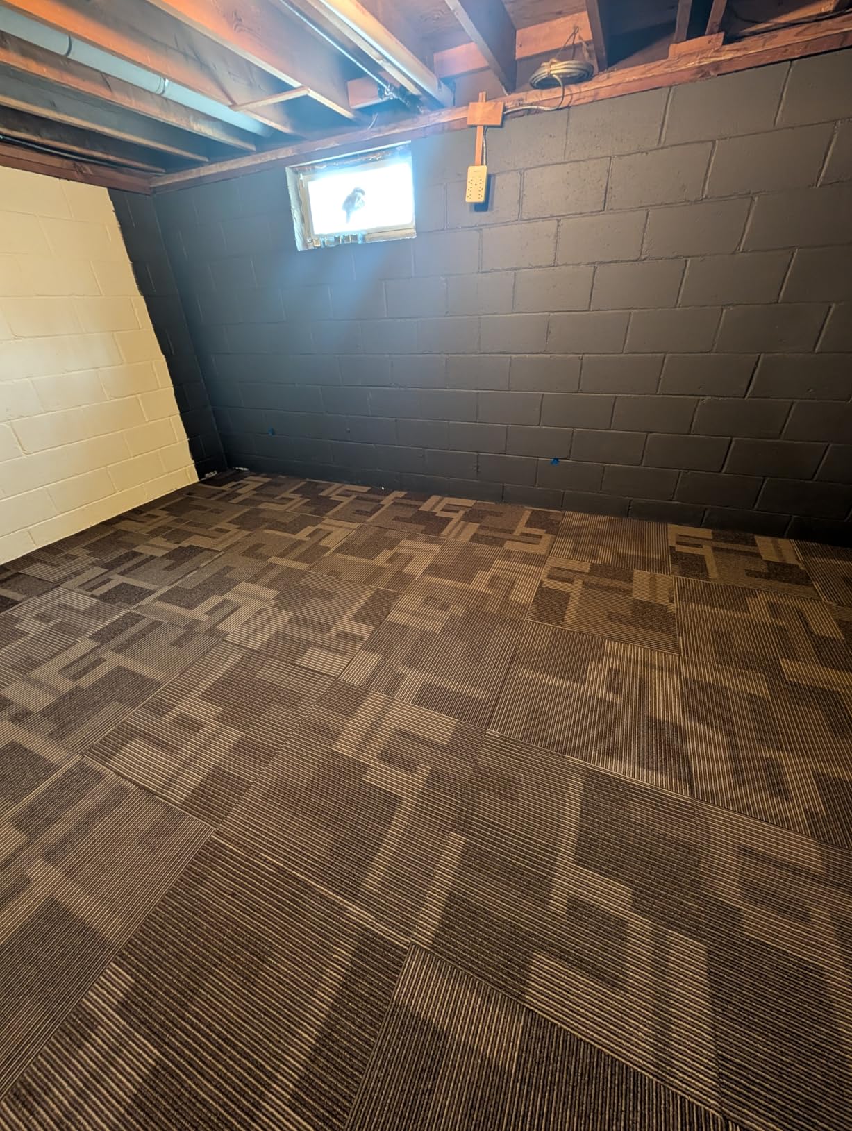 VEVOR Carpet Tiles Reusable 24x24 inch, 24 PCS Modular Carpet Square Rug, Commercial Floor Soft Padded for Seamless Cover 96sq.ft customer photo 1