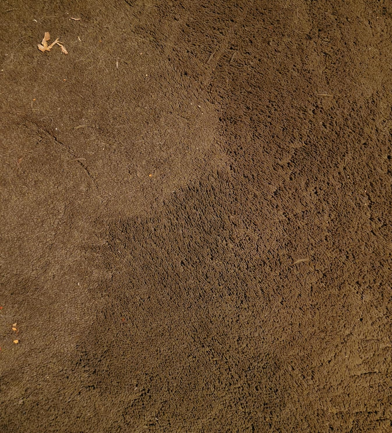 Bissell CleanView Upright Vacuum with Pet Hair Brush Roll, Powerful Suction, Pet Hair Tools, Large Dirt Container, 4438 customer photo 2