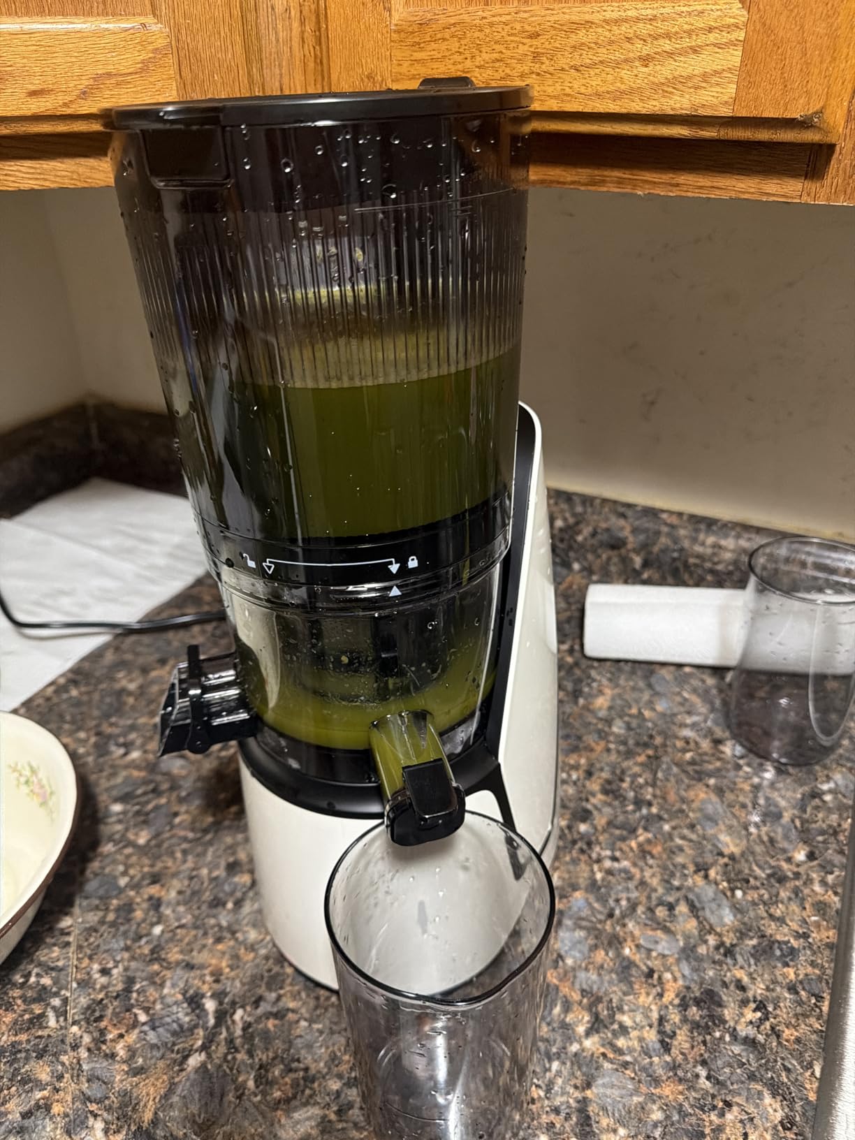 EanOruus Juicer Machines, 3-in-1 Cold Press Juicer with 6.5