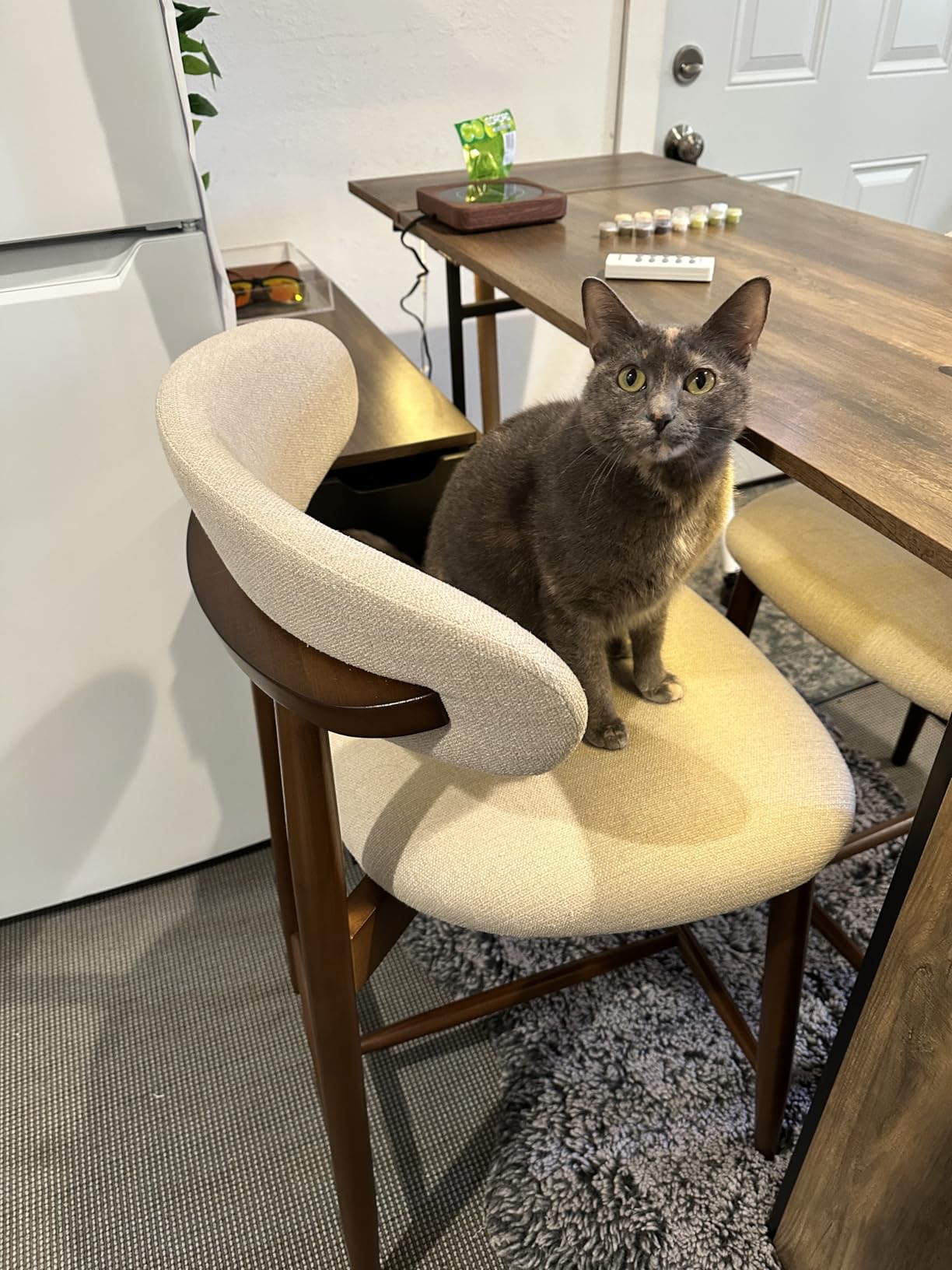 COLAMY Counter Height Bar Stools Set of 2, Kitchen Bar Stools with Back, Mid Century Modern Upholstered, with Wood Legs for Kitchen Island Dining Room, Beige customer photo 1