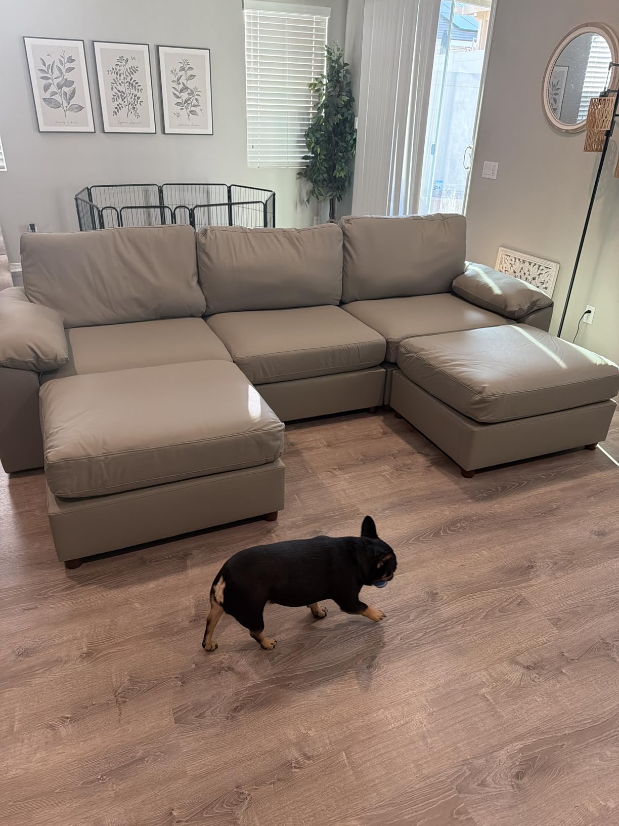 EASE MOOSE Sectional Faux Leather Sofa, Scratch Resistant Couch, 3-Seater Oversized Modular Sofa, Modern Comfy Sofas Deep Seats for Small Spaces, Beige customer photo 2
