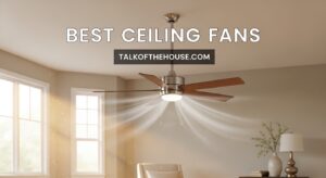 Best Ceiling Fans