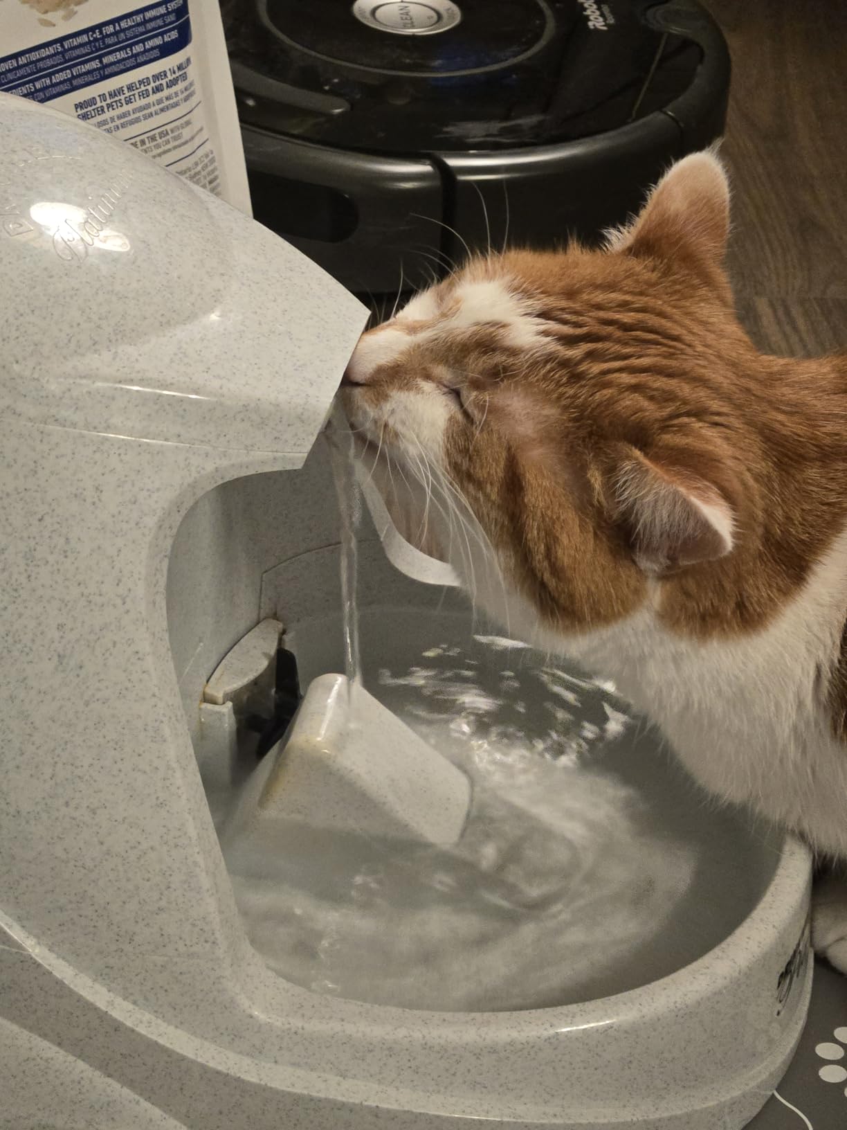 PetSafe Drinkwell Platinum Dog and Cat Water Fountain, Automatic Drinking Fountain for Pets, 168 Ounce, Grey customer photo 1