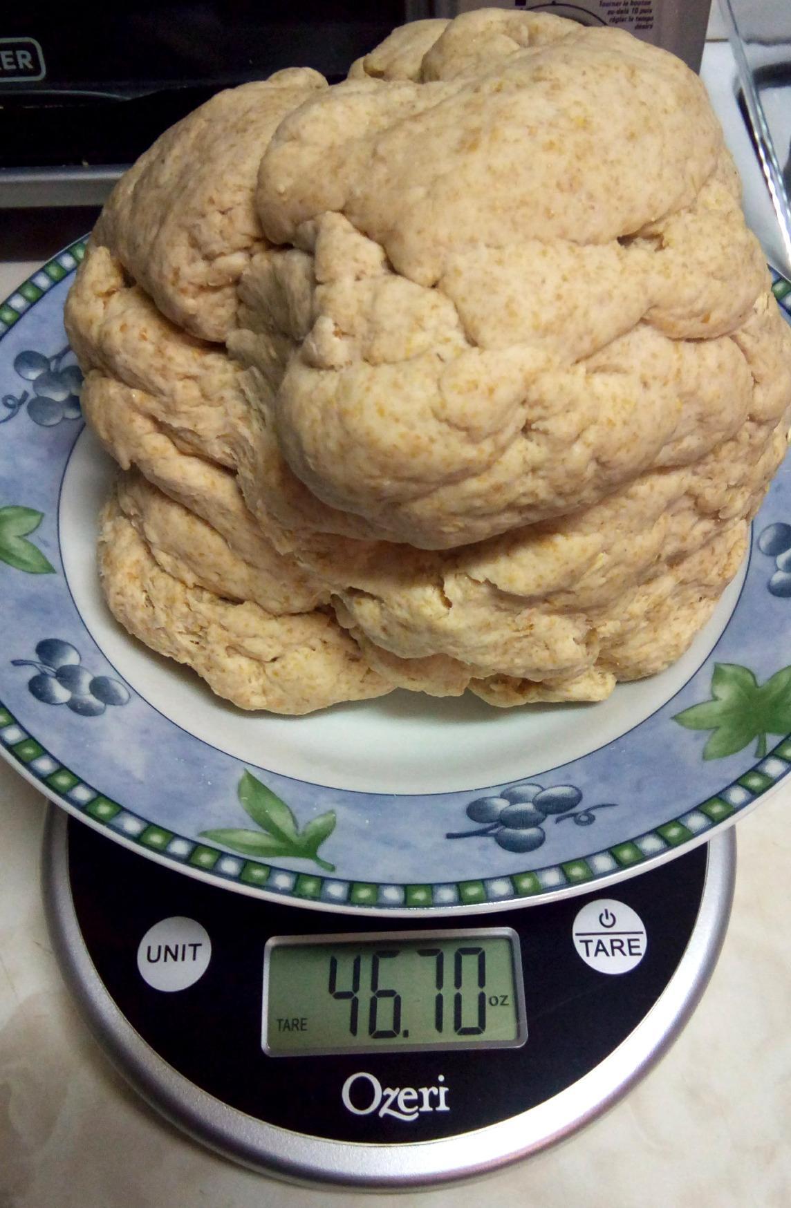 Ozeri Pronto Digital Multifunction Kitchen and Food Scale with Variable Graduation Technology, Original customer photo 2
