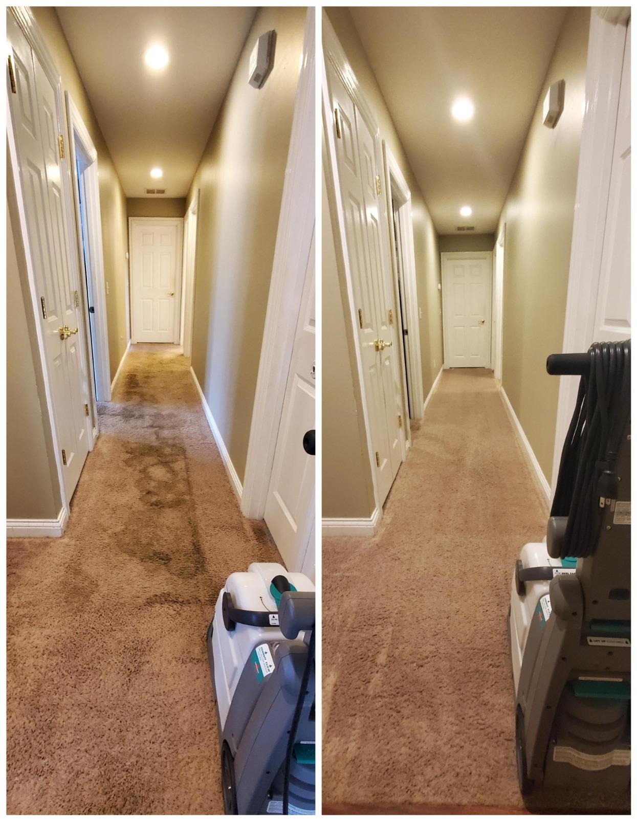 BISSELL Big Green Professional Carpet Cleaner with XL DirtLifter PowerBrush, 9-inch Long Reach Hose, 6-inch Tough Stain Tool, Includes BISSELL PRO MAX Formula customer photo 1