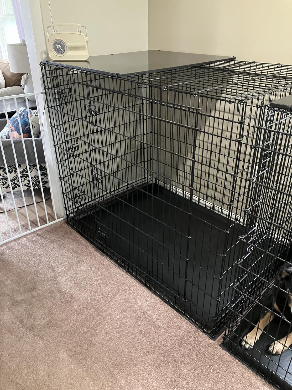 Solutions by MidWest Homes for Pets 54-Inch Drop Pin Crate for Giant Breeds Over 100 lbs, Double Door Dog Crate with Leak-Proof Tray & Secure Latches customer photo 2