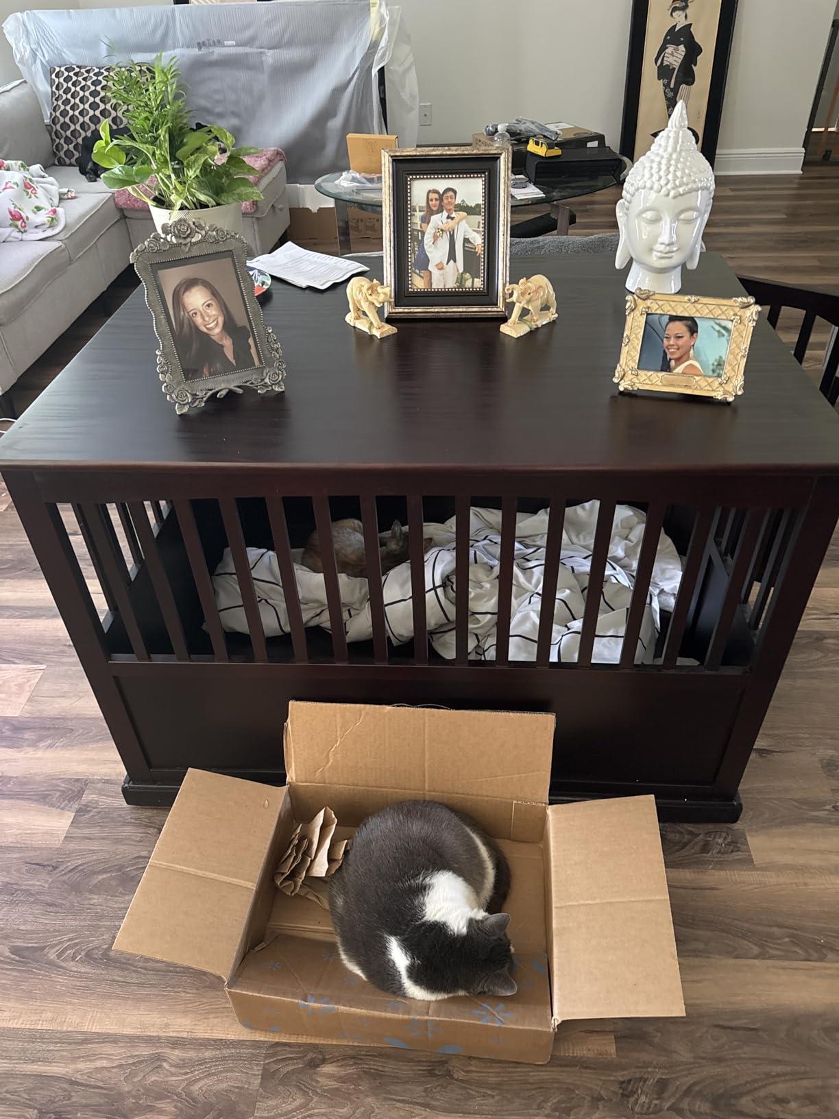 Casual Home Wooden Medium Pet Crate, End Table, Espresso customer photo 2