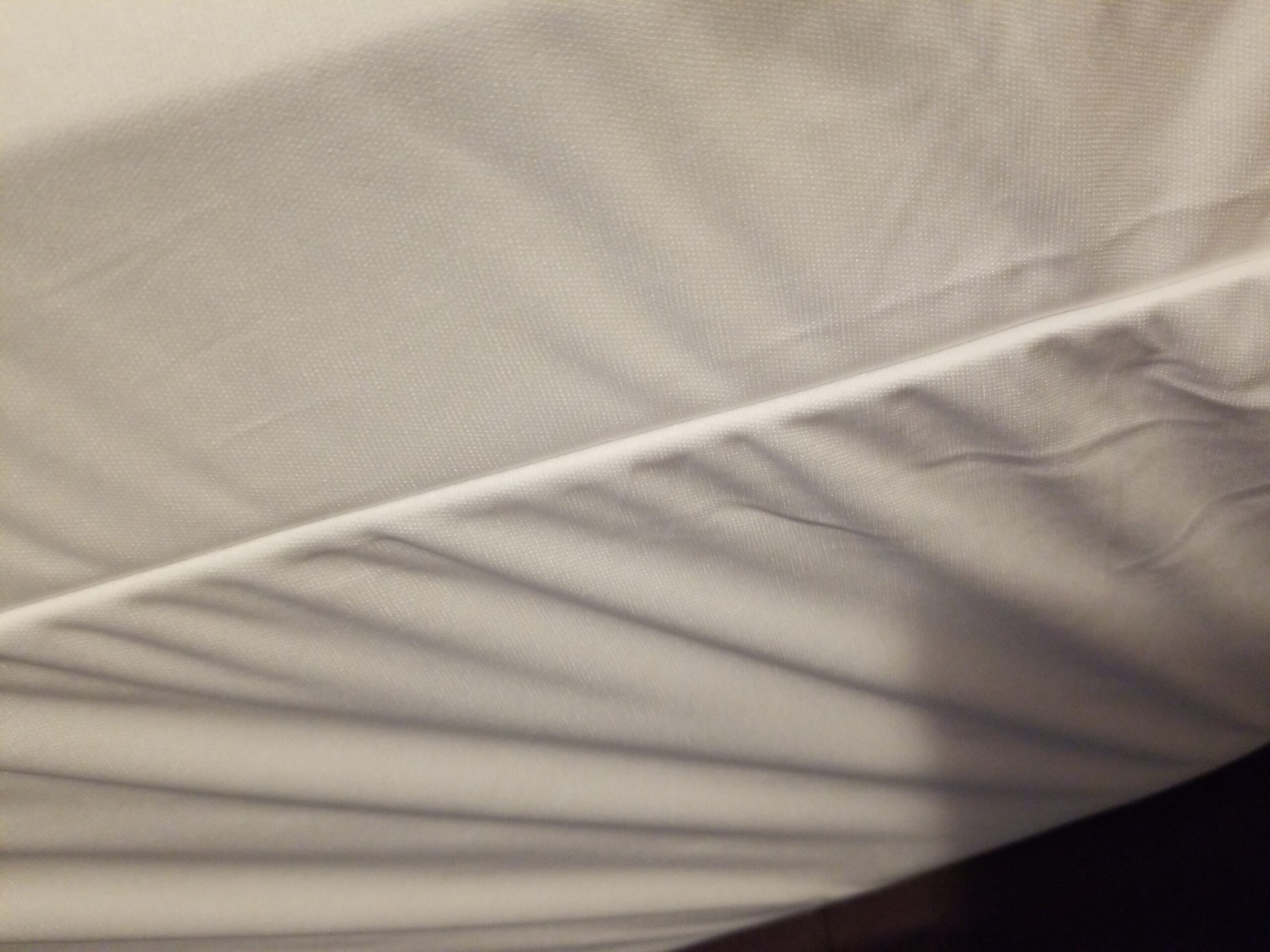 Guardmax Queen Mattress Encasement with Zipper, Waterproof, Bed Bug Proof, and Dust Mite Proof Mattress Protector for Queen Size Bed up to 12