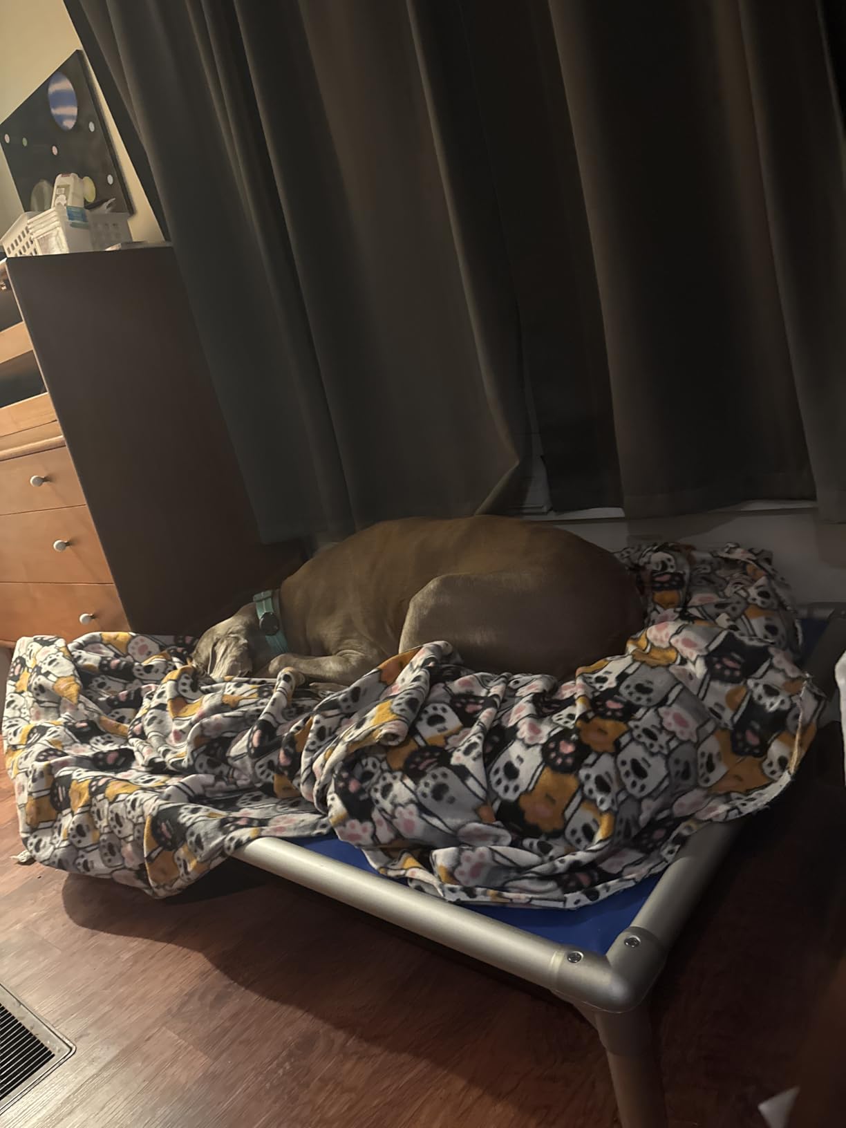 Kuranda Chewproof Elevated Dog Bed - Silver Aluminum - 35