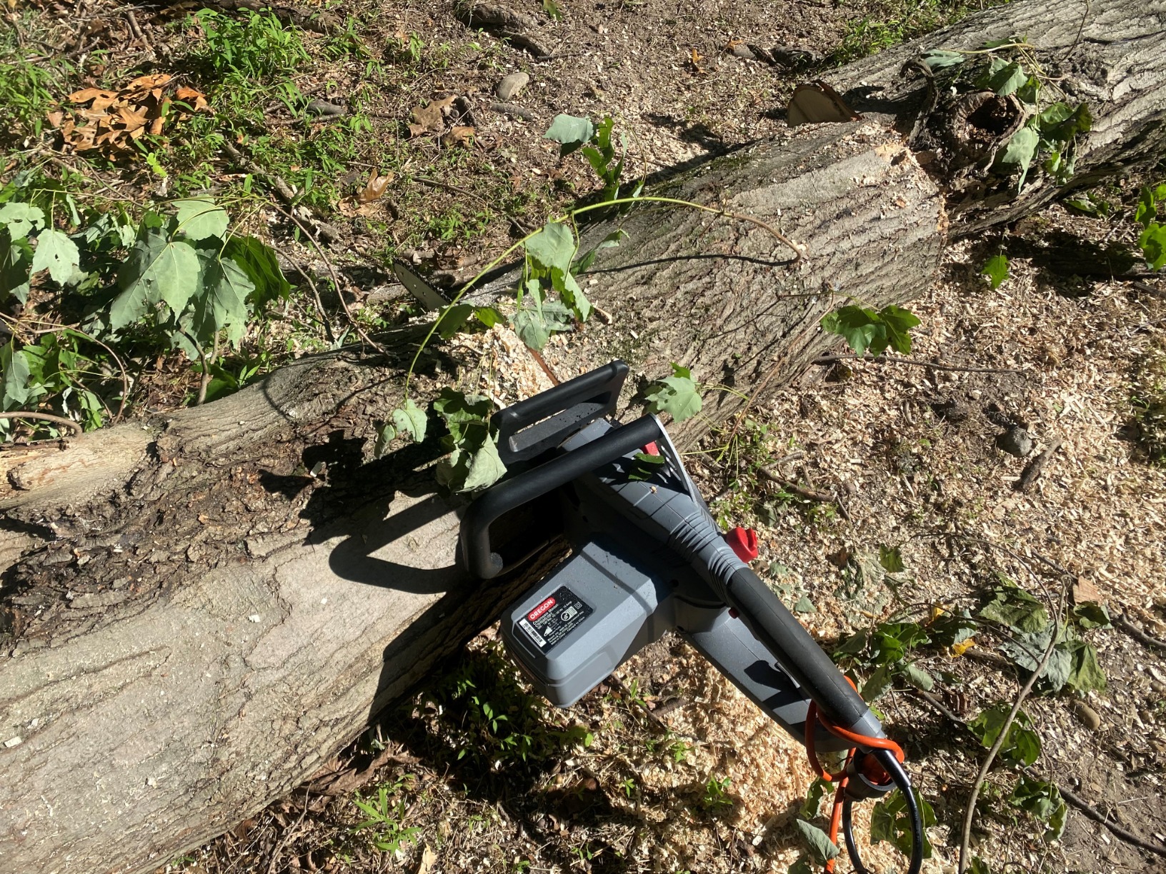 Oregon CS1500 Self-Sharpening Electric Chain Saw, 18-Inch, 15-Amp customer photo 2
