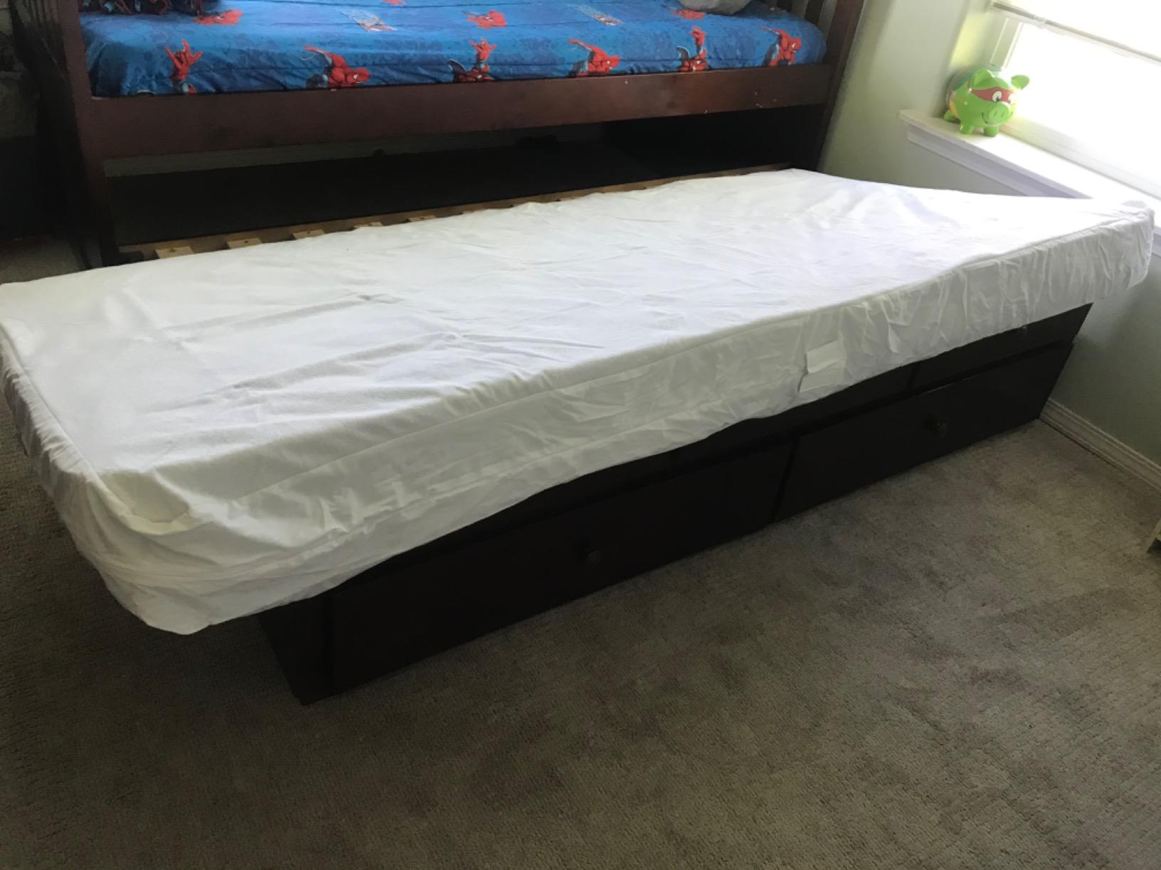 SureGuard Mattress Encasement - 100% Waterproof, Bed Bug Proof, Hypoallergenic - Premium Zippered Six-Sided Cover (Queen, 13-16 in. Deep) customer photo 1