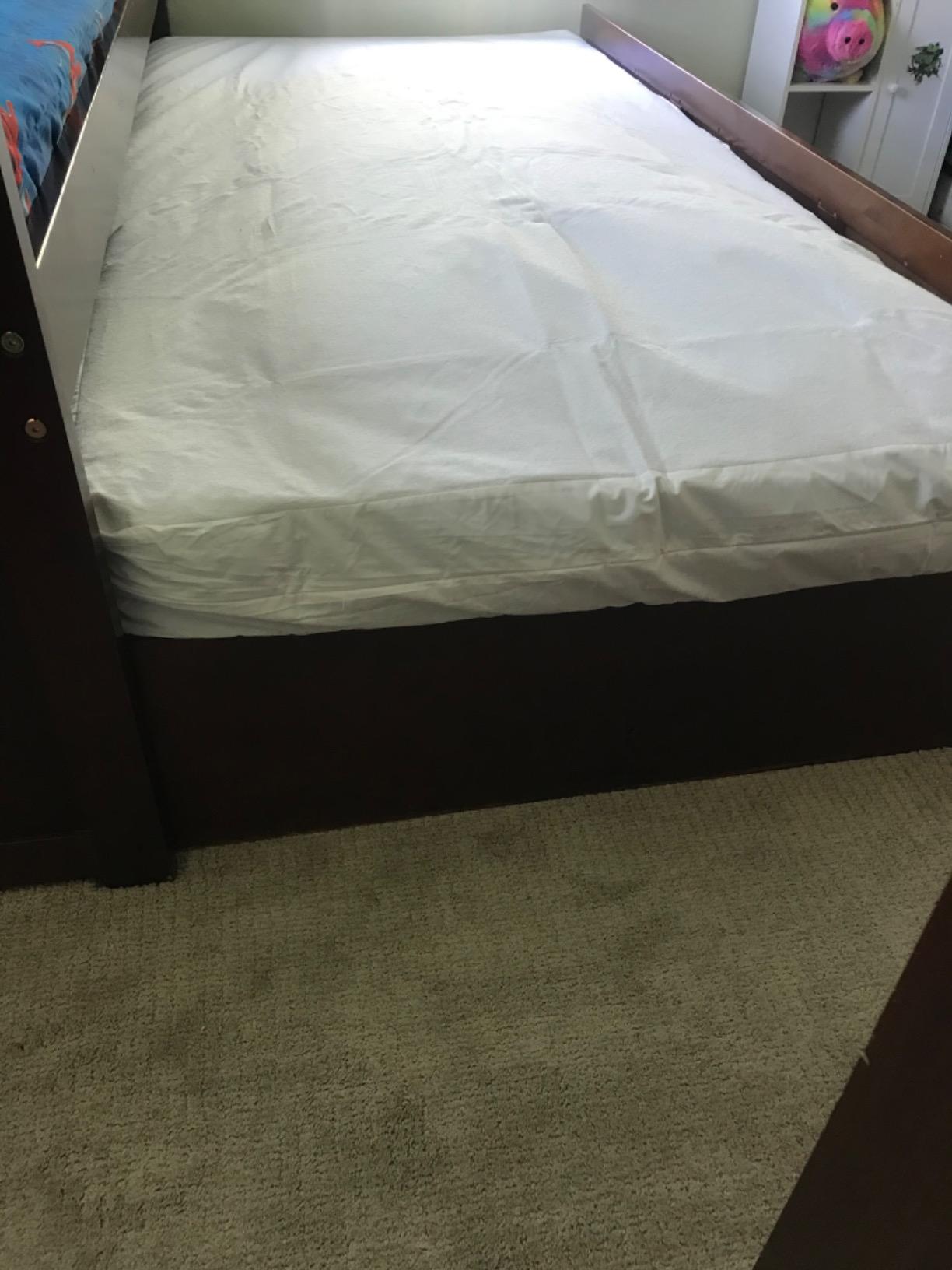 SureGuard Mattress Encasement - 100% Waterproof, Bed Bug Proof, Hypoallergenic - Premium Zippered Six-Sided Cover (Queen, 13-16 in. Deep) customer photo 2