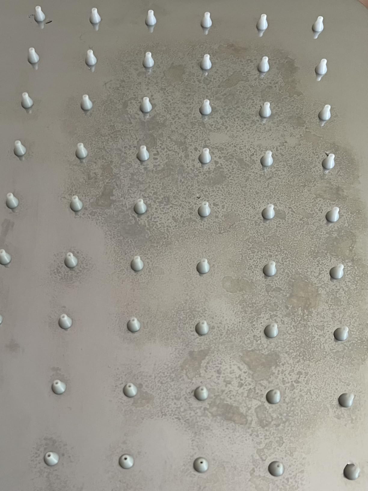SR SUN RISE 12 Inch Rain Shower Head, High Pressure Rainfall Showerhead Large Waterfall Shower Head Ultra Thin Water Saving, Brushed Nickel 304 Stainless Steel customer photo 1
