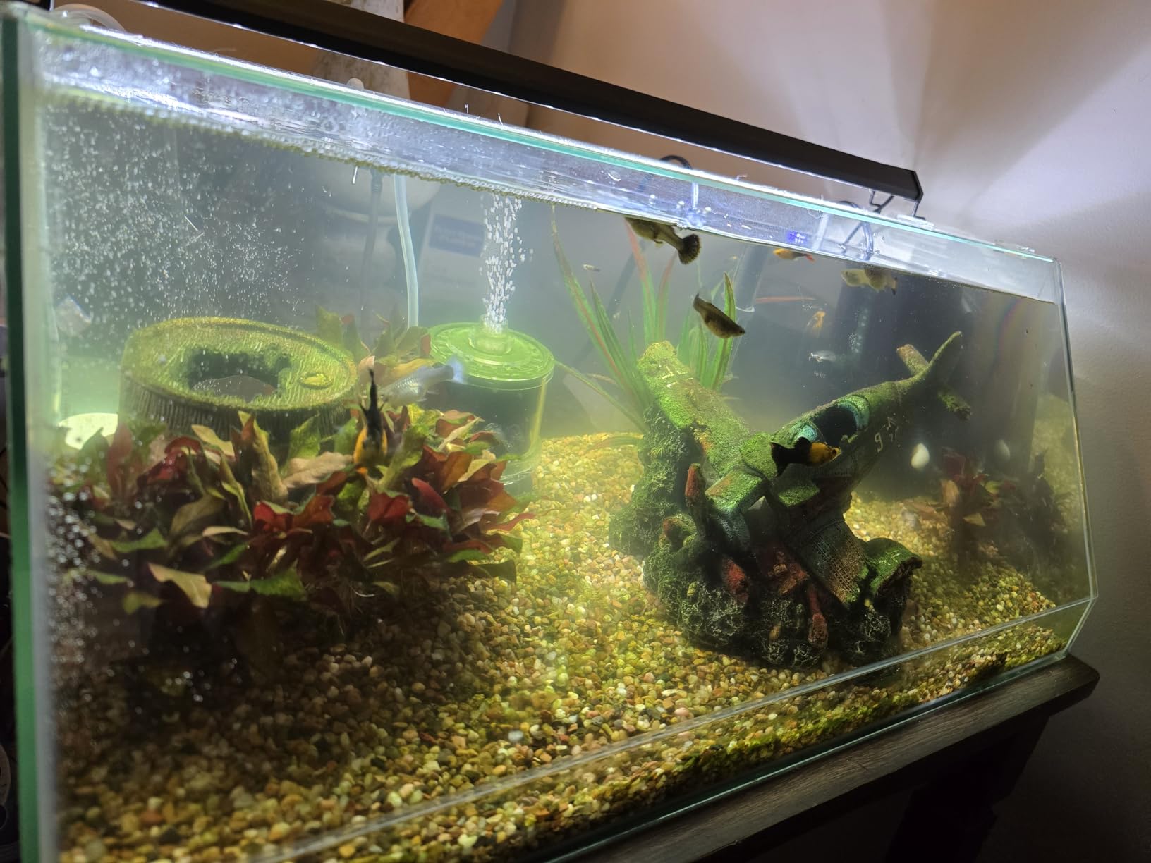 Seachem Tidal Power Aquarium Filter - 35 Gallon Large Fish Tank Filter customer photo 1