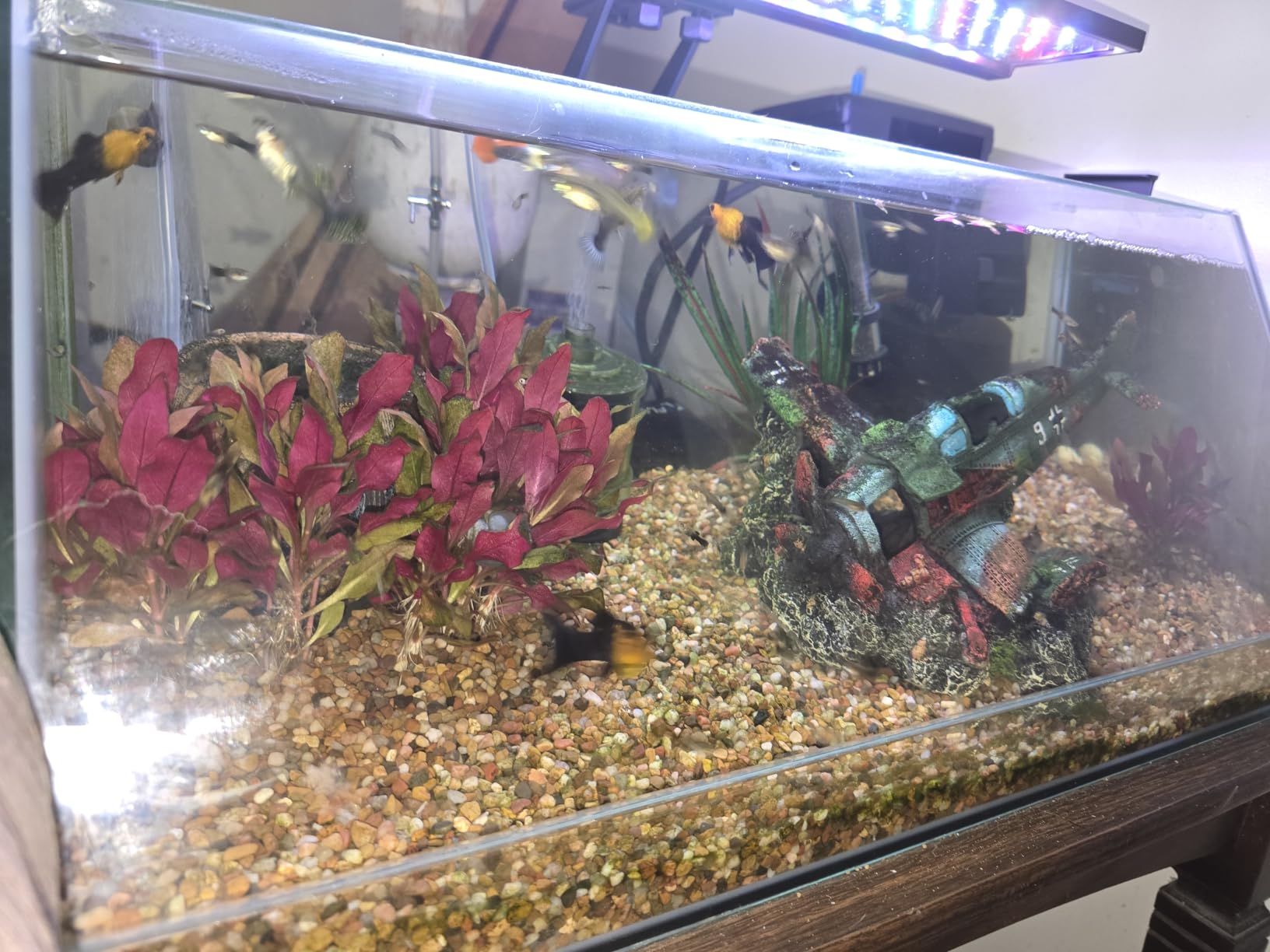 Seachem Tidal Power Aquarium Filter - 35 Gallon Large Fish Tank Filter customer photo 2
