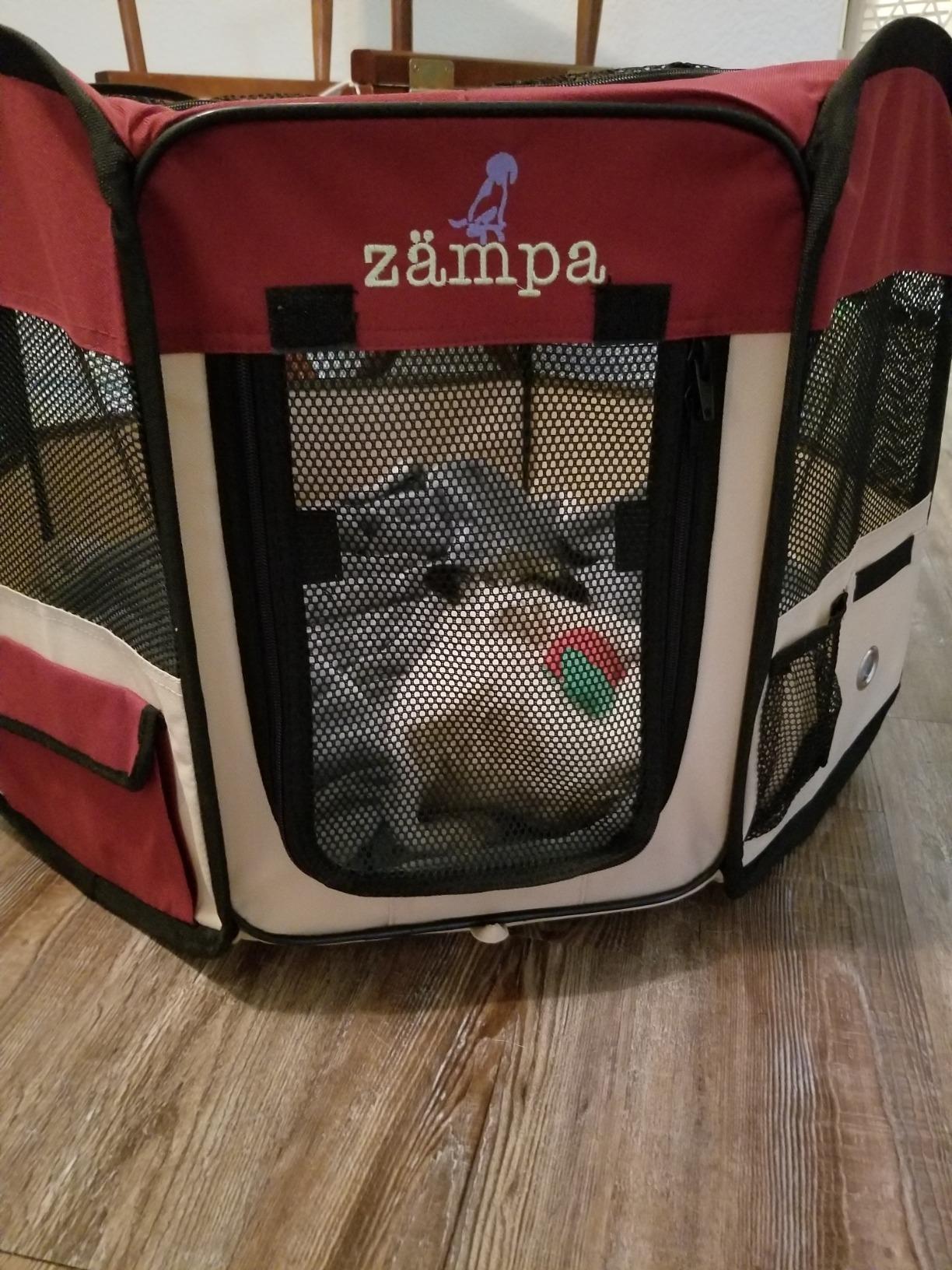 Zampa Pop Up Portable Large 61