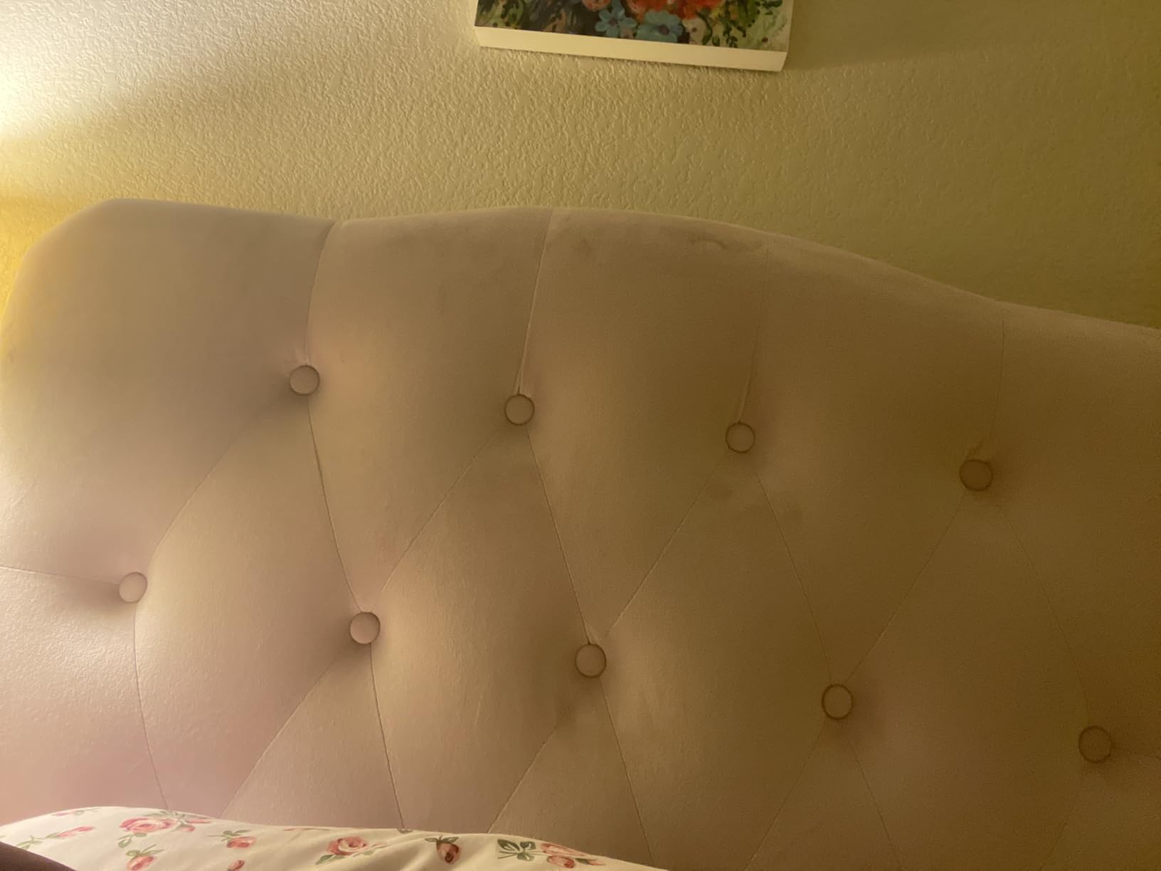 Modway Annabel Diamond Tufted Performance Velvet Queen Headboard in White customer photo 2