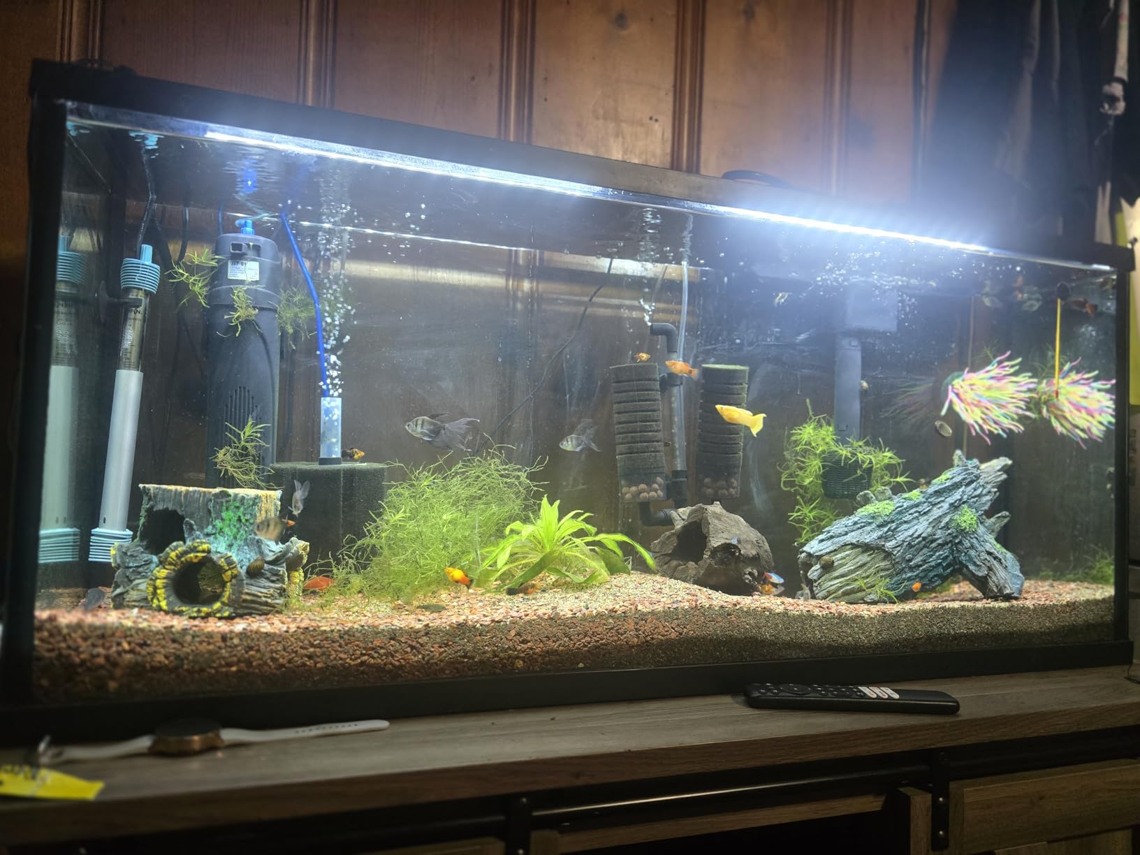 hygger Sponge Filter, Aquarium Filter Double Sponge Replaceable Media with Biochemical Sponges and Ceramic Balls (M for 15 to 55 Gallon Tank) customer photo 1