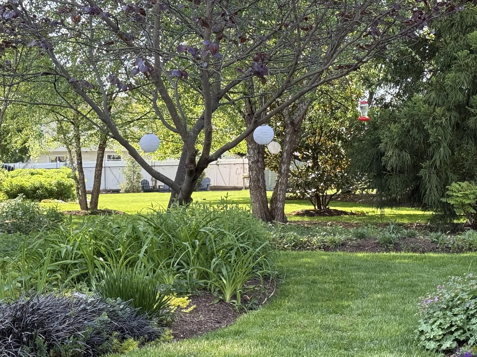 EGO POWER+ Electric Lawn Mower, Self-Propelled Cordless with Select Cut and Touch Drive, Includes 56V 7.5Ah Battery and Rapid Charger - LM2135SP customer photo 2