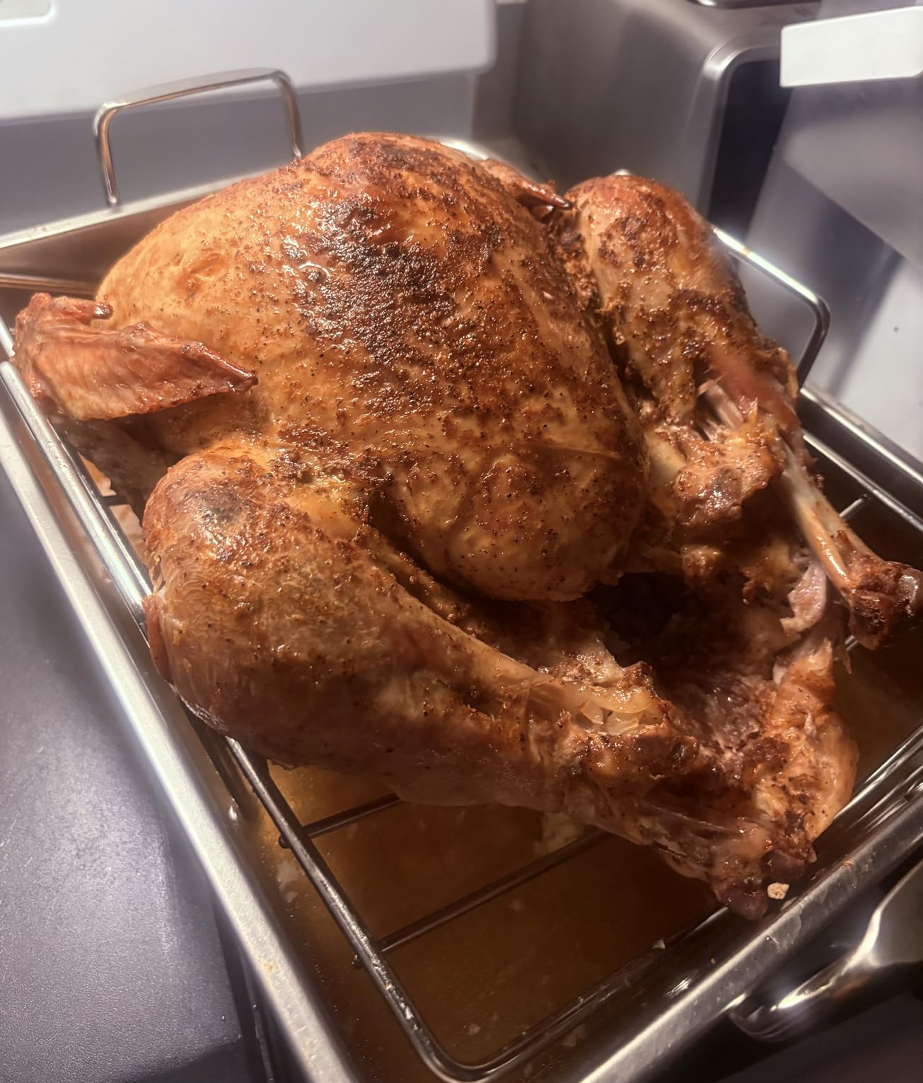 E-far Roasting Pan, 16 x 11.5 Inch Stainless Steel Turkey Roaster with V-shaped & Flat Rack, Non-toxic & Heavy Duty Deep Broiling Pan, Dishwasher Safe customer photo 2