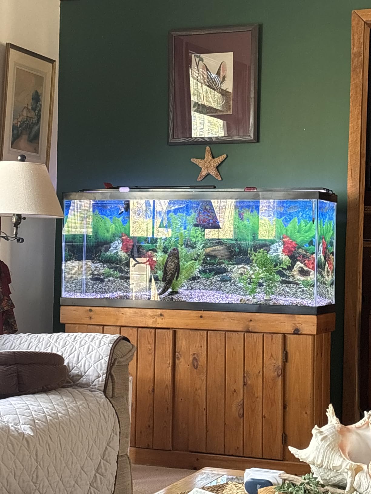 Tetra Glass Aquarium 55 Gallons, Rectangular Fish Tank customer photo 2