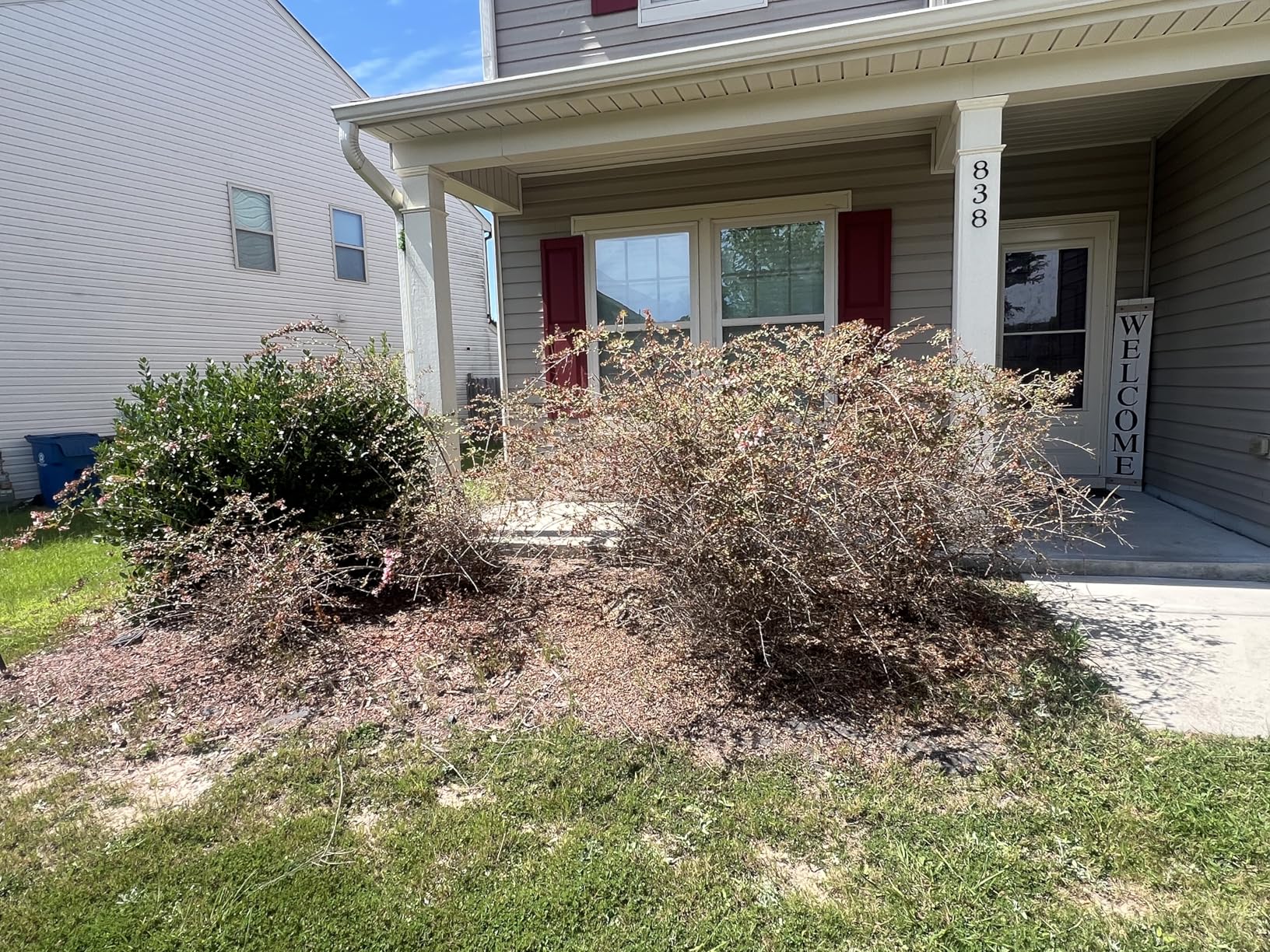 MZK 22'' Cordless Hedge Trimmer, 20V Bush Trimmer, Battery & Charger Included customer photo 2