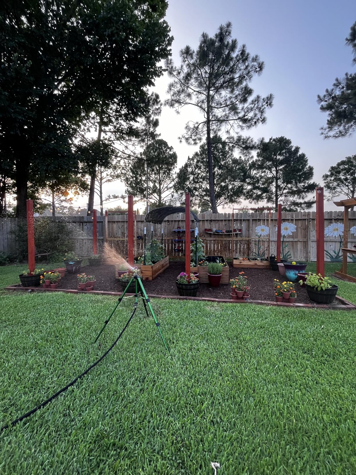 Hourleey Impact Sprinkler on Tripod Base, Heavy Duty Brass Sprinklers for Yard Lawn Garden, 0-360 Degree Large Area Coverage, 3/4 Inch Connector Extension Legs Flip Locks with Brass Sprinkler Head customer photo 2