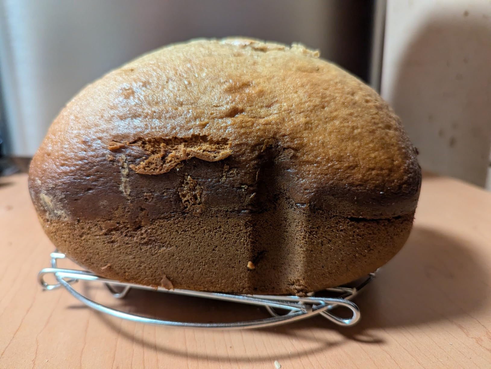 Panasonic SD-R2550 Bread Machine, Automatic Bread Maker with 20 Presets and Advanced Temperature Sensor customer photo 1