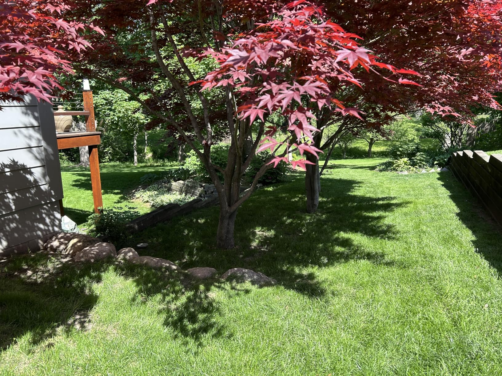 EGO POWER+ Electric Lawn Mower, Cordless, Includes 56V 6.0Ah Battery And 320W Charger - LM2114 customer photo 2