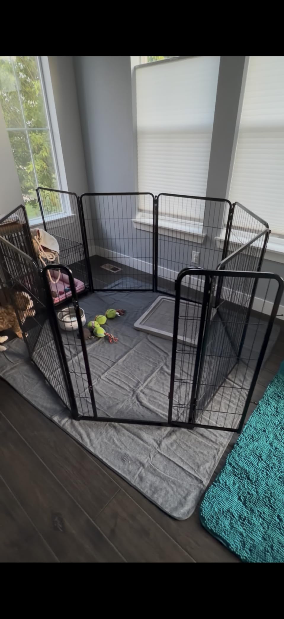 FXW Homeplus Unleashed Indoor Dog Playpen - Stress-Free and Safe Play, Heavy Duty 32 Inch 8 Panels Dog Pen for Small and Medium Dogs, Black | Patented customer photo 1