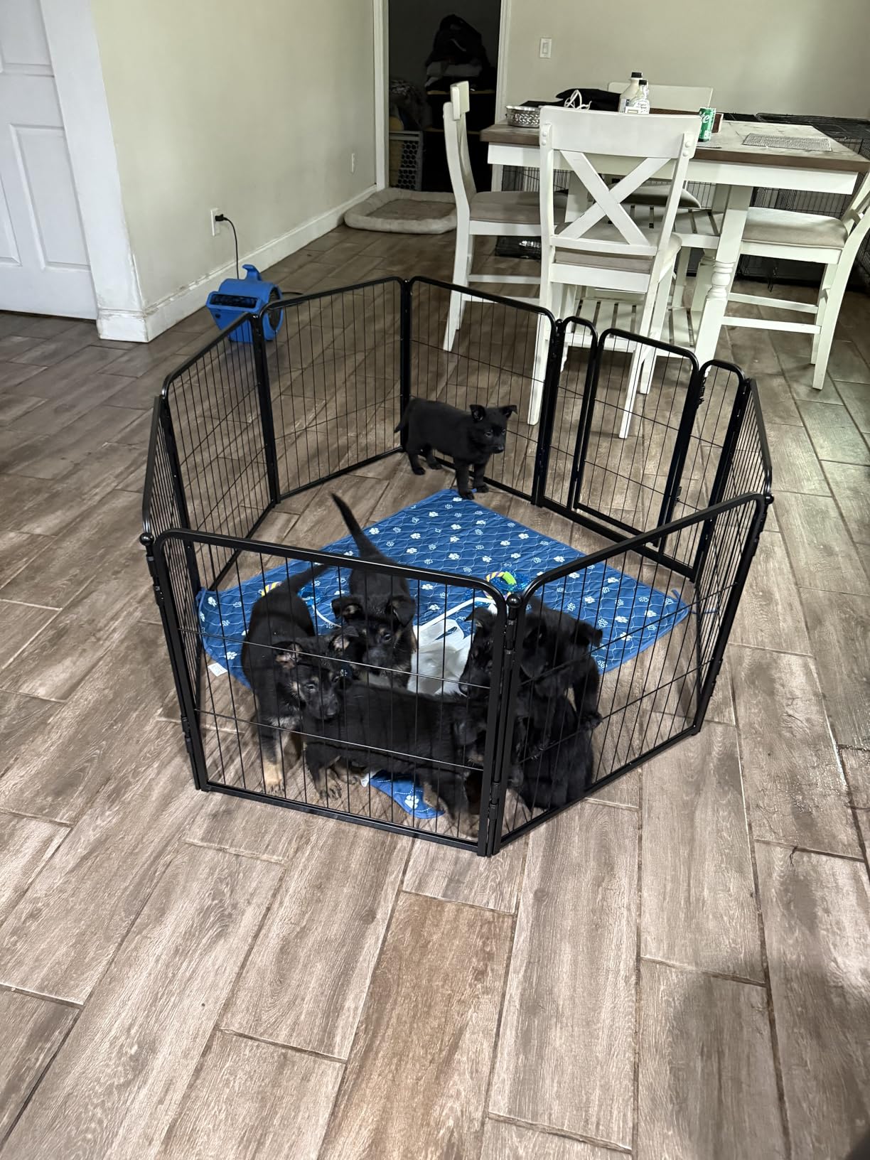 FXW Homeplus Unleashed Indoor Dog Playpen - Stress-Free and Safe Play, Heavy Duty 32 Inch 8 Panels Dog Pen for Small and Medium Dogs, Black | Patented customer photo 2