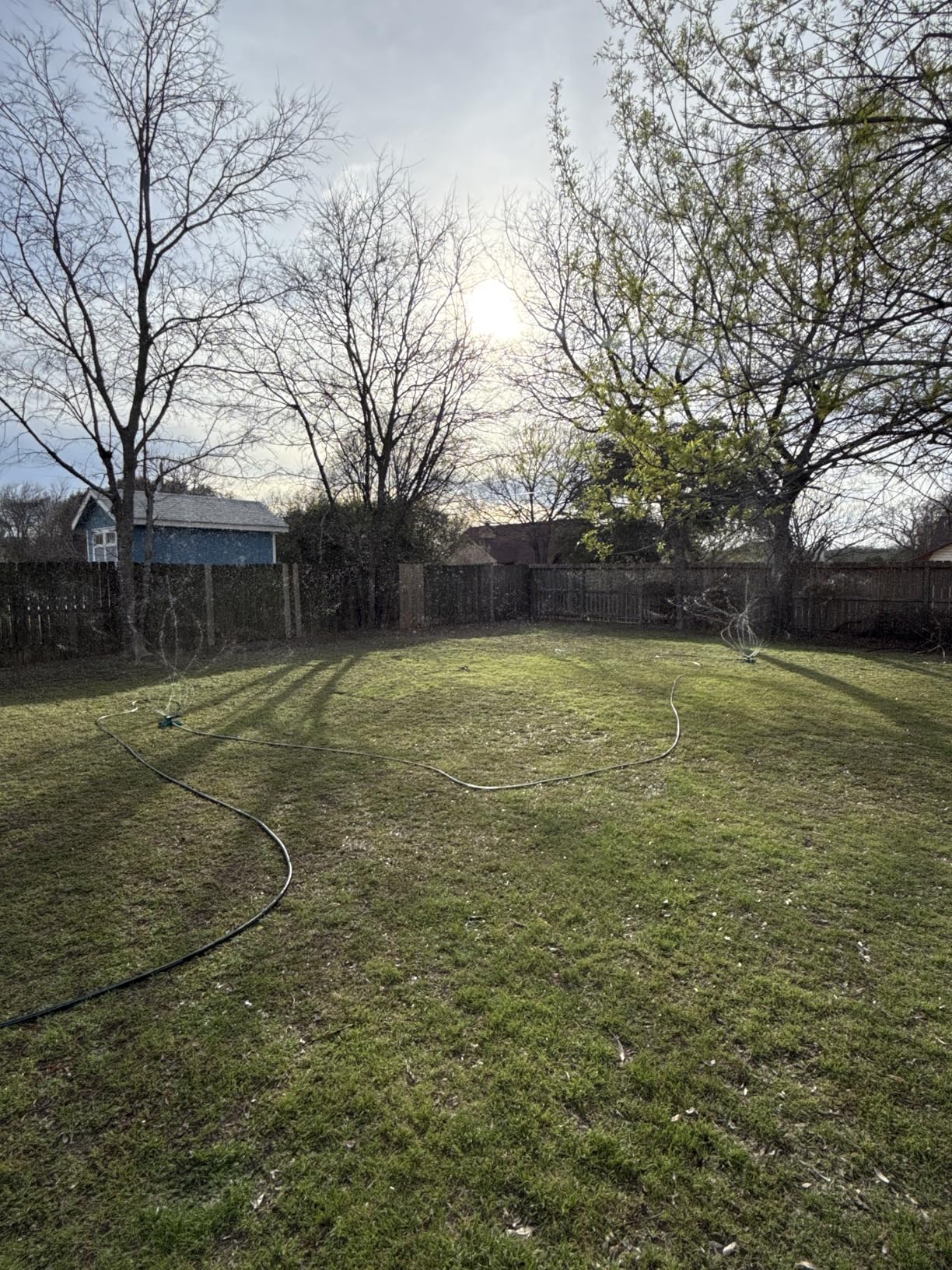 Joeys Sprinkler for Yard, Rotating Garden Sprinkler with 3 Adjustable Arms, Weighted Base, Expandable Connection customer photo 2