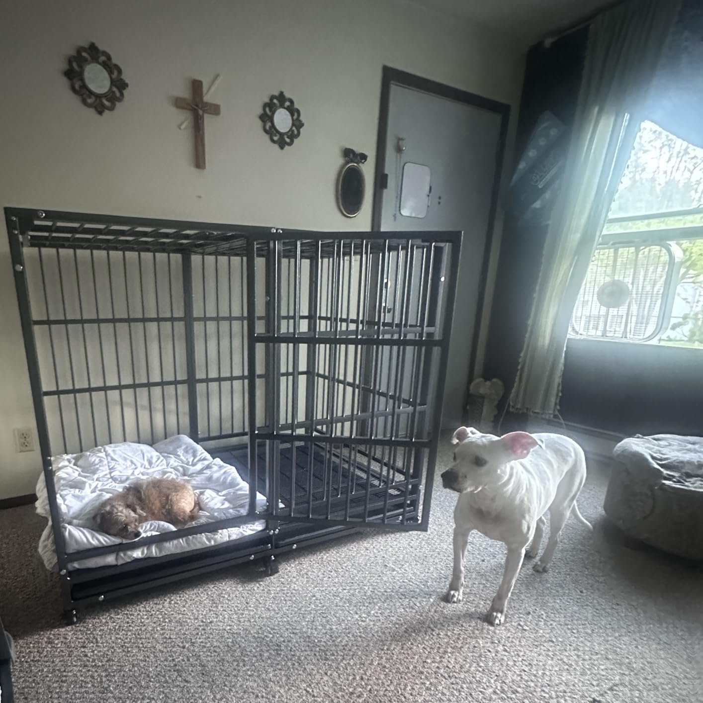 BOLDBONE 48 inch Heavy Duty Indestructible and Escape-Proof Dog Crate Cage Kennel for Large Dogs, High Anxiety Dog Crate with Removable Wire Trays and Wheels customer photo 1