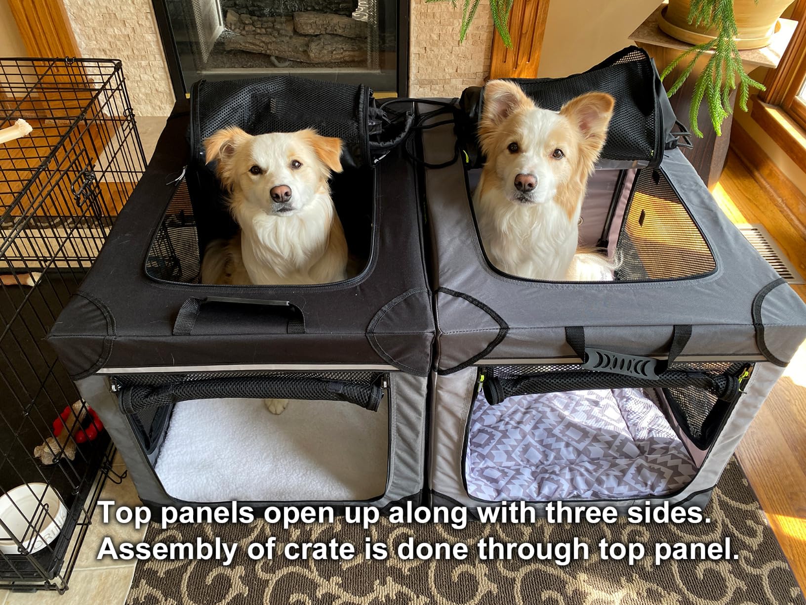 Lesure Soft Collapsible Dog Crate - 42 Inch Portable Travel Crate for Extra Large Dogs Indoor & Outdoor, 4-Door Foldable Pet Kennel with Mesh Windows customer photo 1