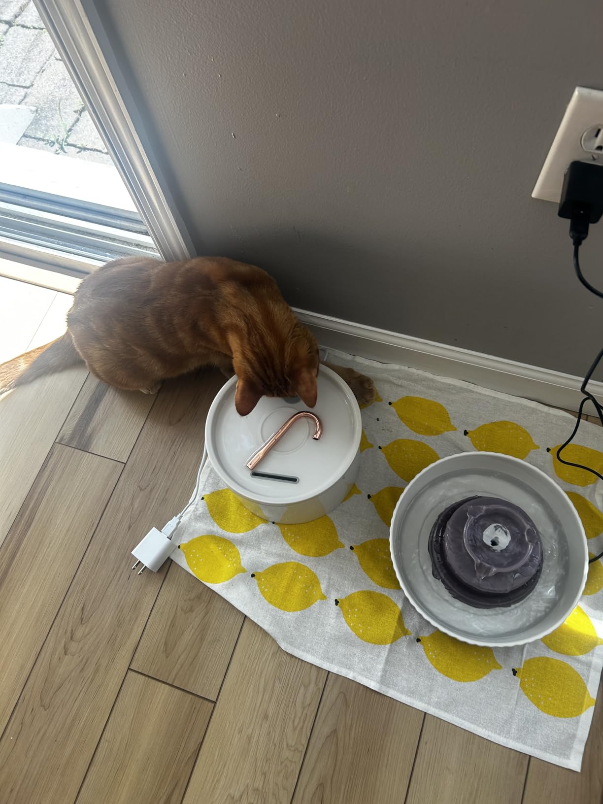 Lawfery Ceramic Cat Water Fountain, 2.1L/71oz Cat Fountain with 3 Carbon Filters and 2 Water Pumps, Cupcake Pet Water Fountain for Cats and Dogs (Green) customer photo 1