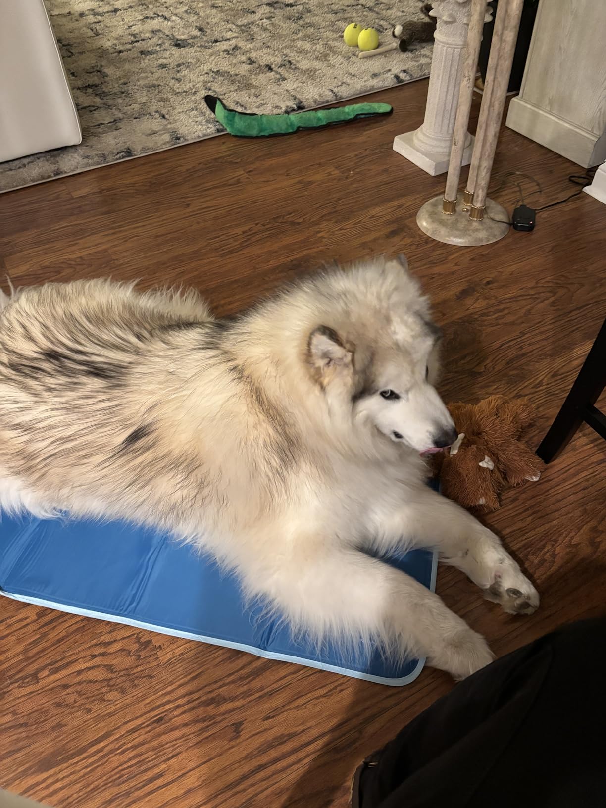 The Green Pet Shop Cool Pet Pad - Large, Sage Grey - Self-Cooling, Pressure Activated Mat for Dogs & Cats from 46-80 lbs - Non-Toxic Gel, No Water Needed customer photo 1