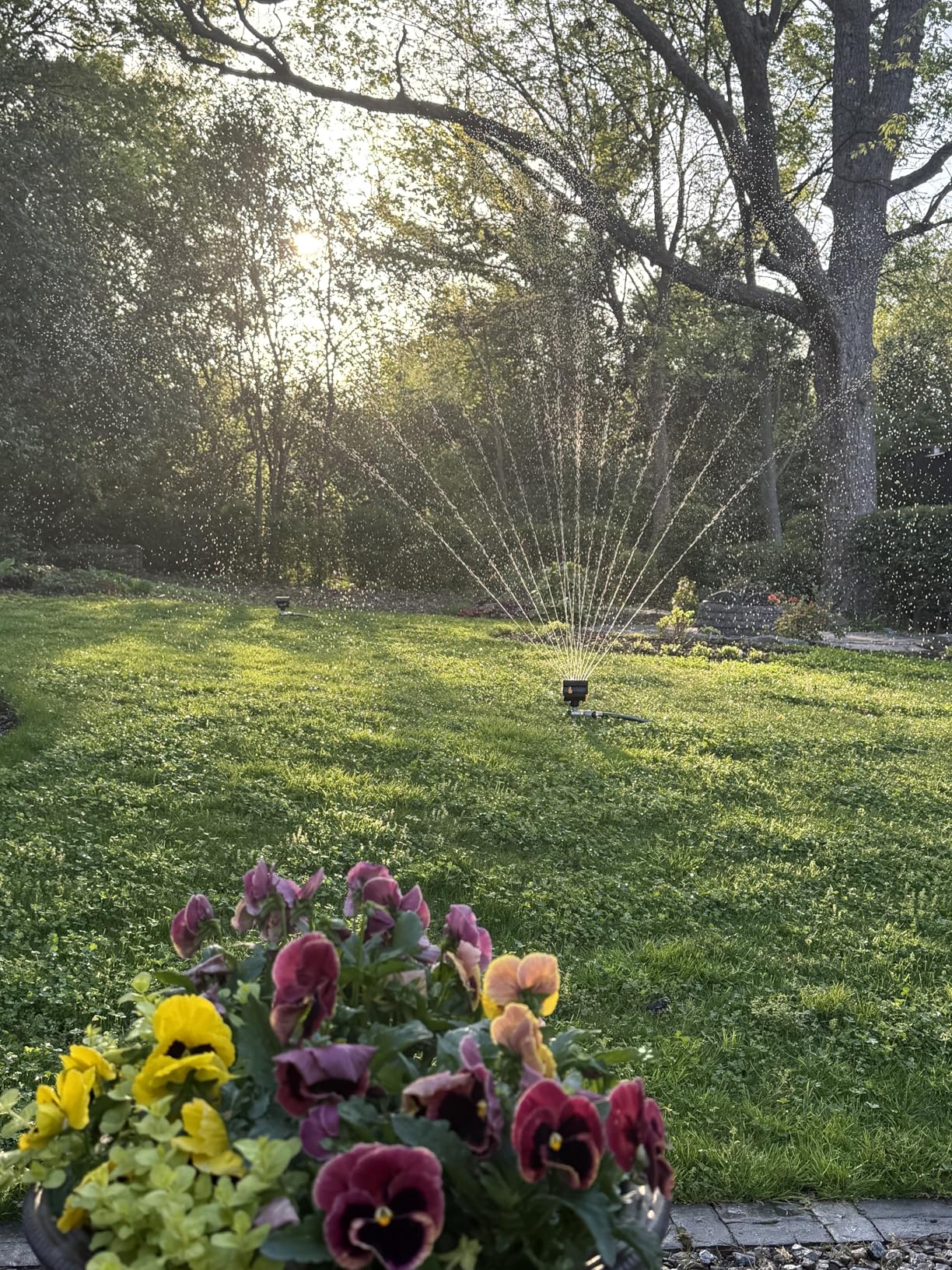 Melnor 65137AMZ MiniMax Turbo Oscillating Sprinkler on Step Spike, 4000 sq. ft., 4-Way Adjustable, Quick Connect Bundle customer photo 1