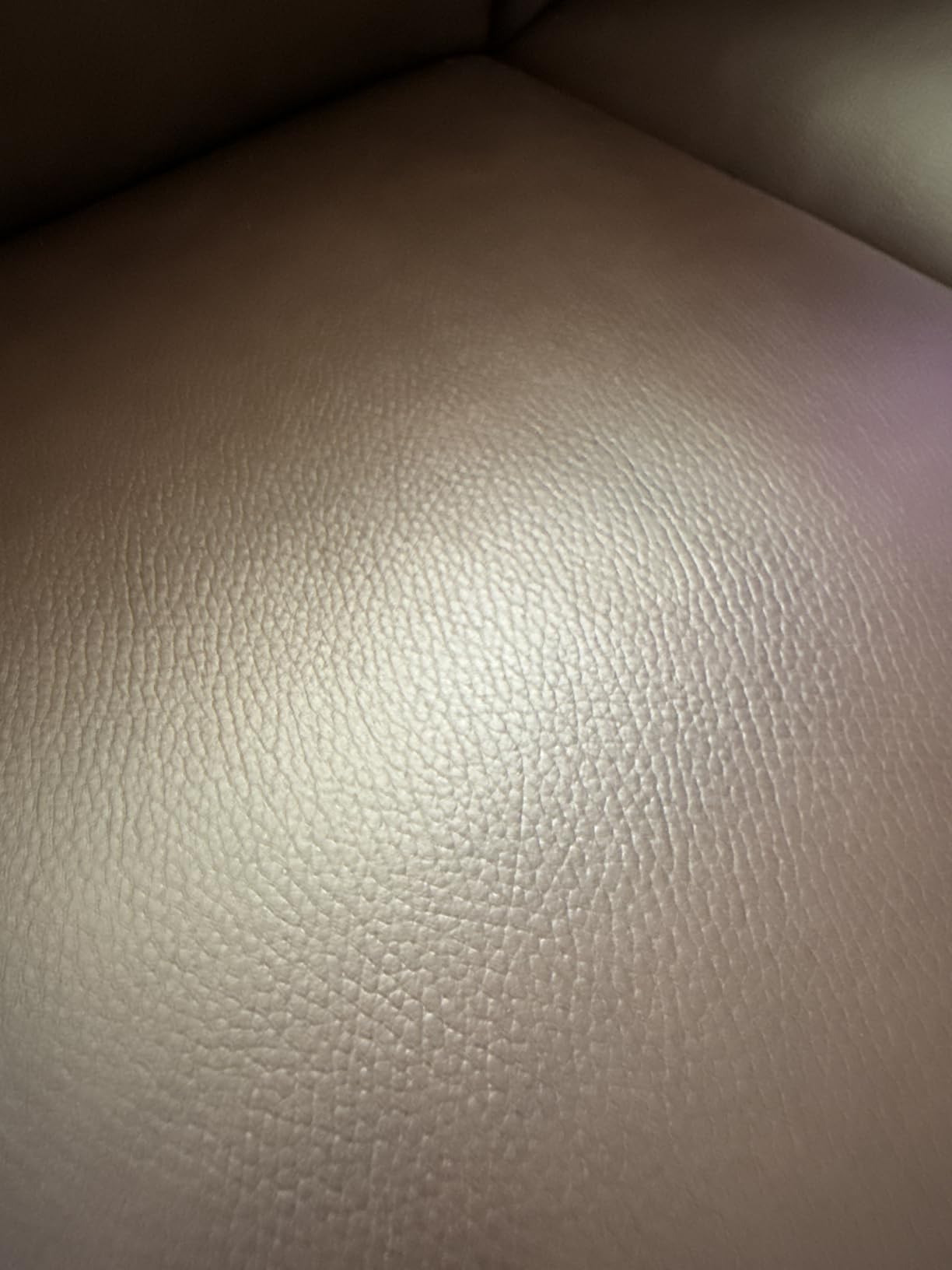 Hydeline Magnum Top Grain Leather Sofa Couch, 84