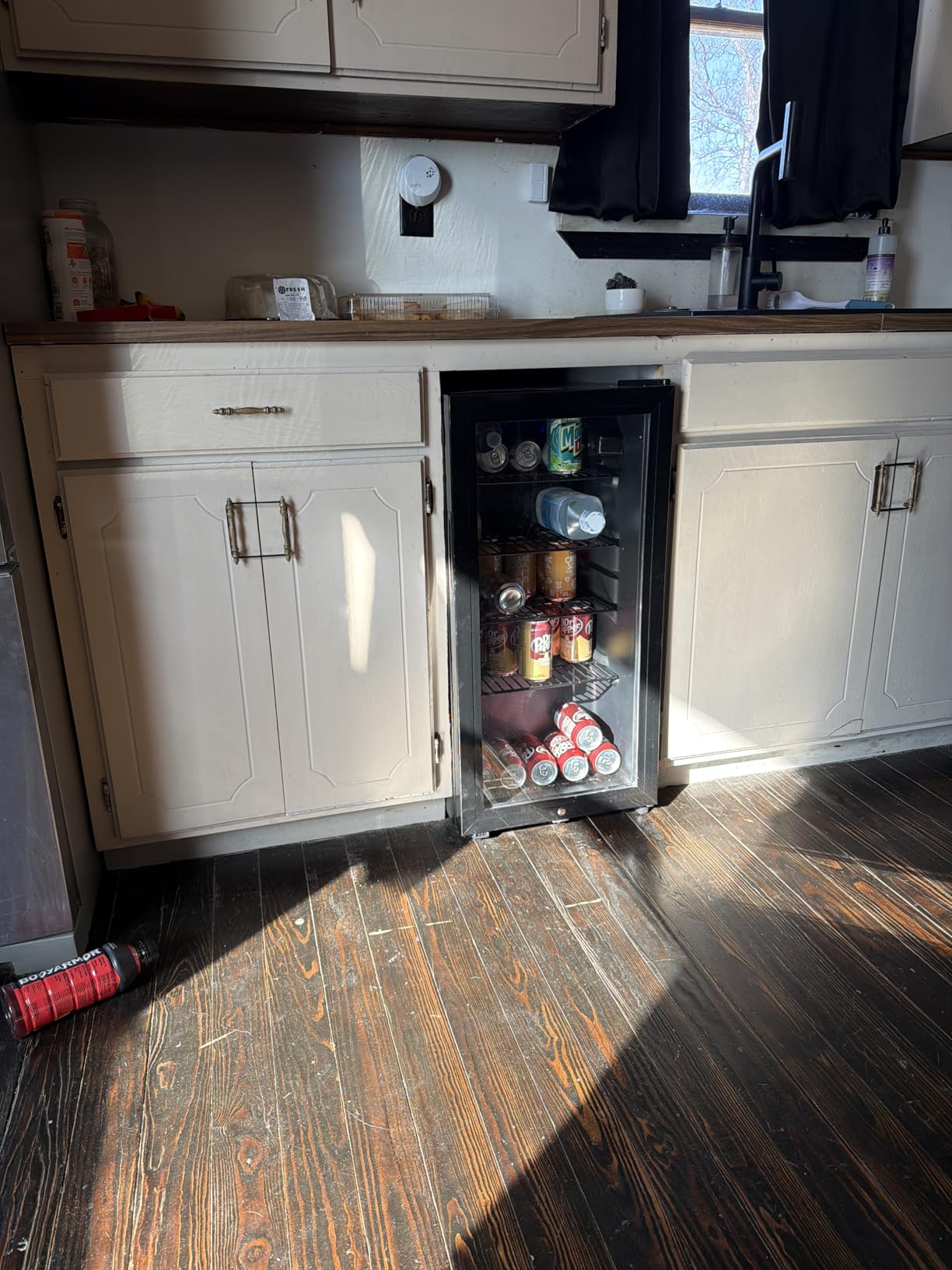 Saeoola Beverage Refrigerator, 3.2 Cu.ft Mini Fridge with Double Glass Door, Cooler for Soda, Beer or Wine for Home, Office or Bar with Adjustable Removable Shelves (Black) customer photo 2