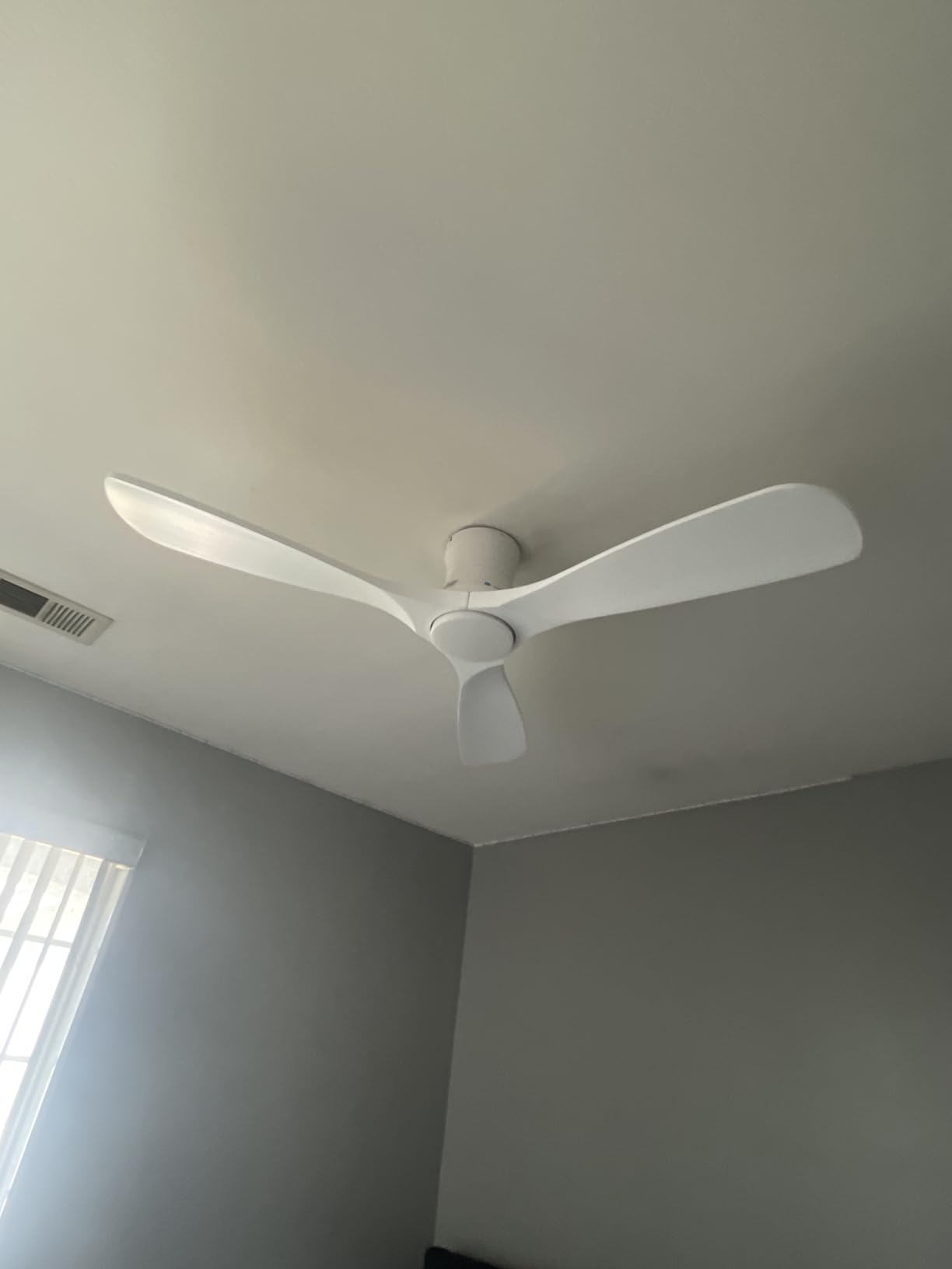 Hoenofly 52 Inch Low Profile Smart Ceiling Fan with Lights customer photo 1