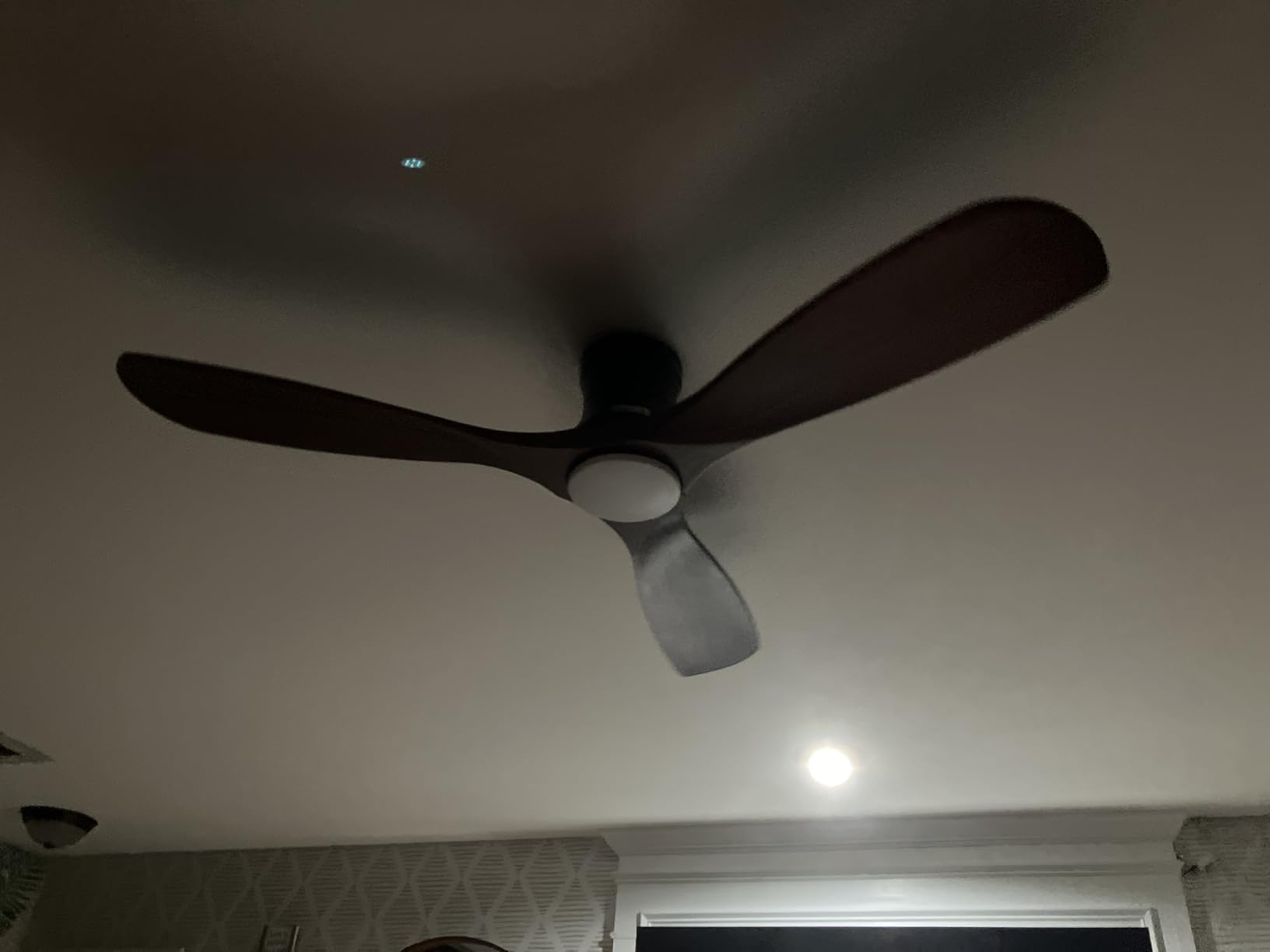 Hoenofly 52 Inch Low Profile Smart Ceiling Fan with Lights customer photo 2