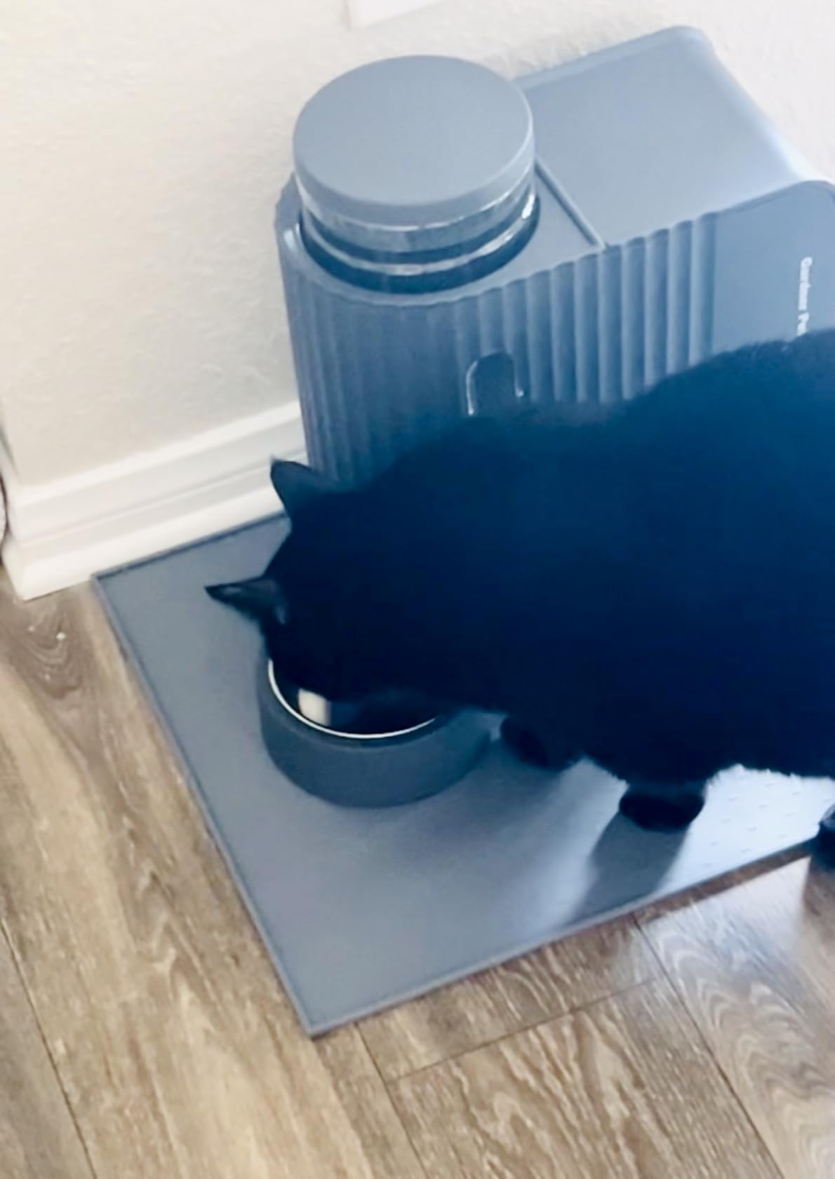 Gardner Pet Automatic Gravity Cat Food Feeder and Water Dispenser Stainless Steel Two-in-One Set Large Capacity Dispenser for Pets Dogs, Puppies, Kittens-(0.8 Gallons x 2) customer photo 1