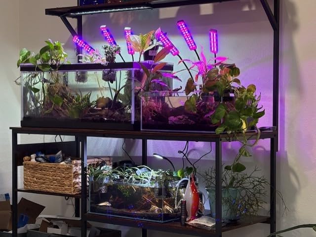Landen 75H 37 Gallon Rimless Low Iron Aquarium Tank, W29.5 x D17.7 x H17.7 in, 8mm Thickness with Black Nano Foam Leveling Mat Included customer photo 1